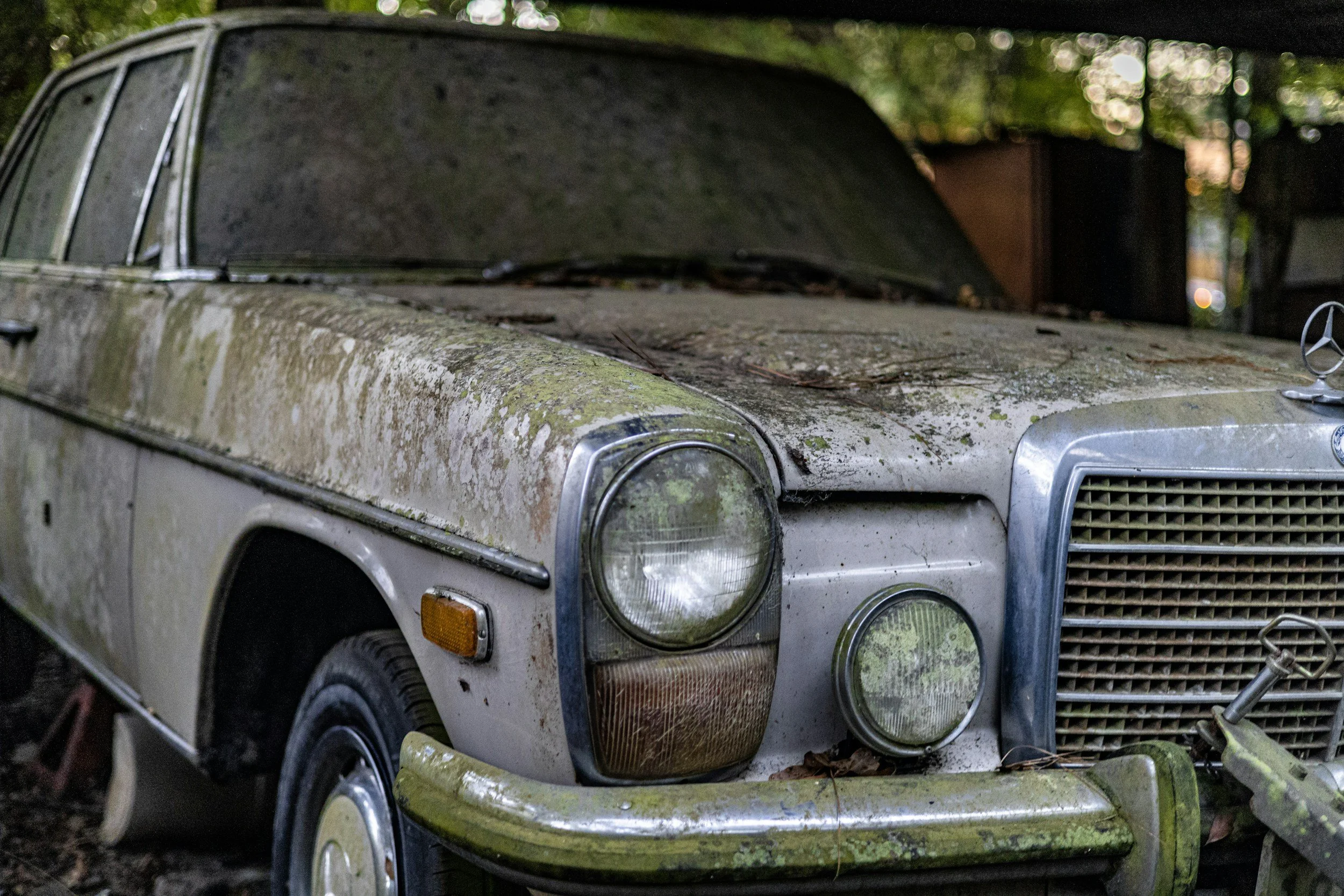 An old, abandoned Mercedes-Benz car covered in moss and dirt, parked outdoors with fallen leaves and grime on its surface.