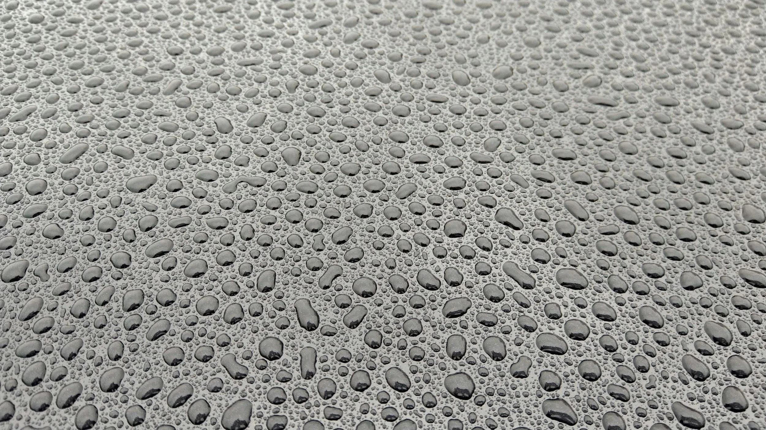 Close-up of numerous raindrops on a smooth surface.