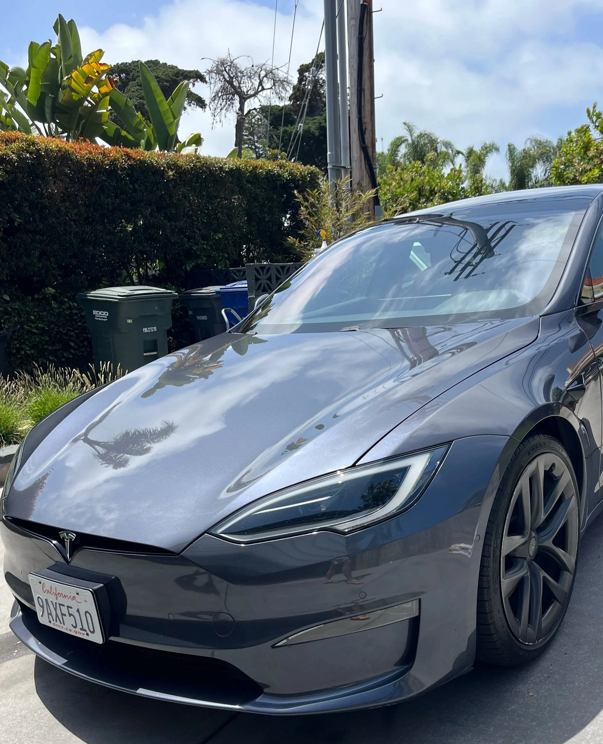 A gray Tesla Model S parked on a driveway with plants and trees in the background. An after picture of a tesla During a detail in Del Mar, San Diego.