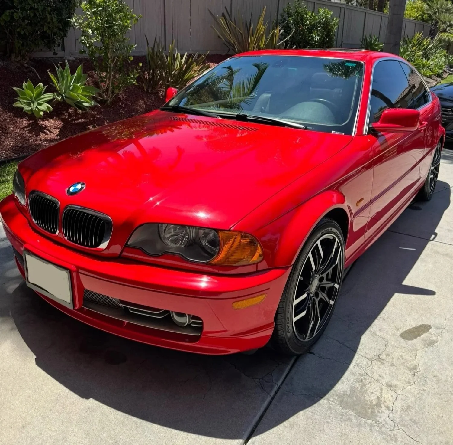 Mobile auto detailing in San Diego by Torrey Pines Auto Detailing