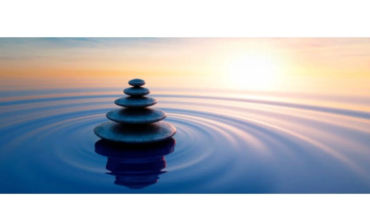 Life & Wellness Coaching