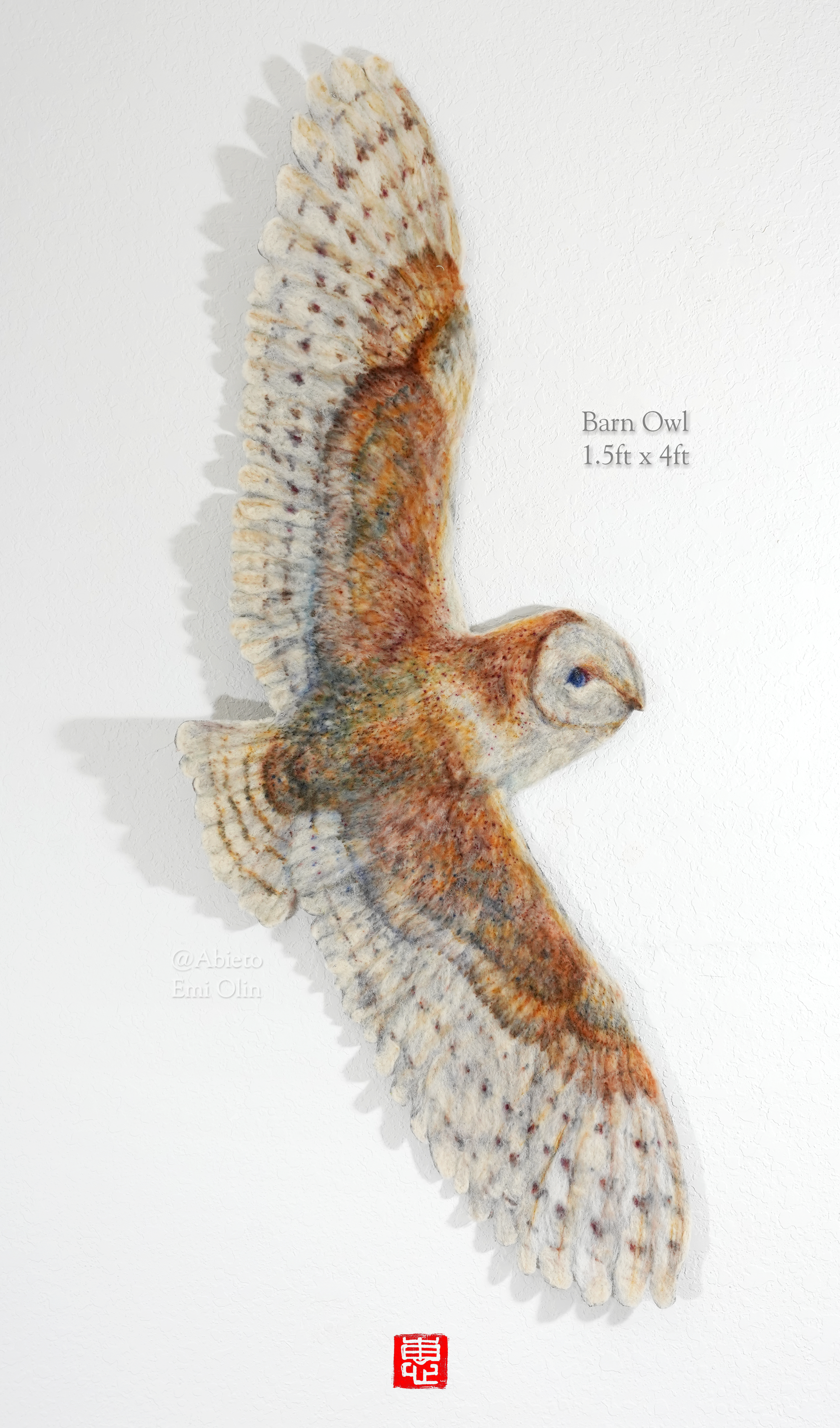 Barn Owl