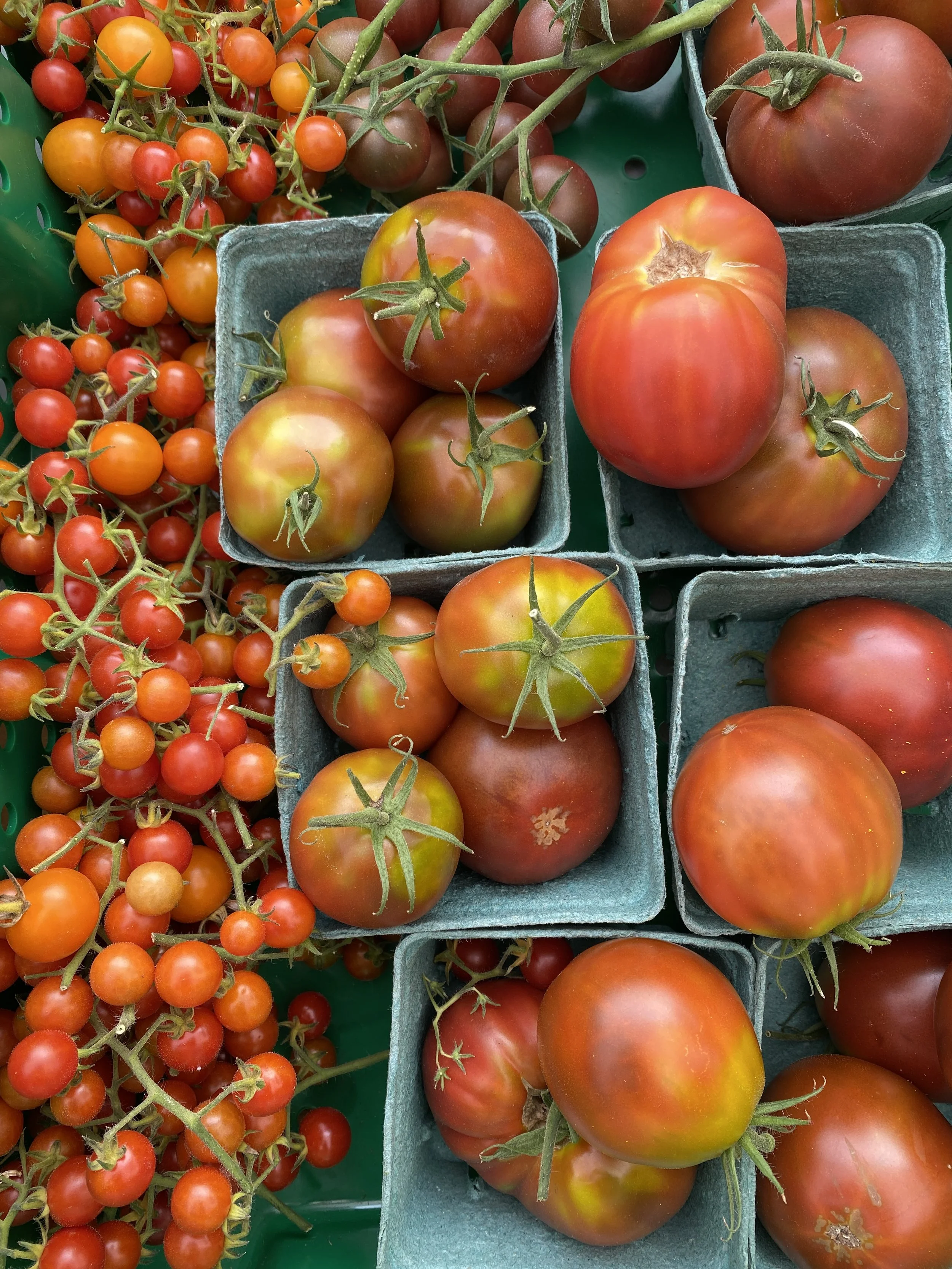 IMG_1396 3.JPG (Copy)