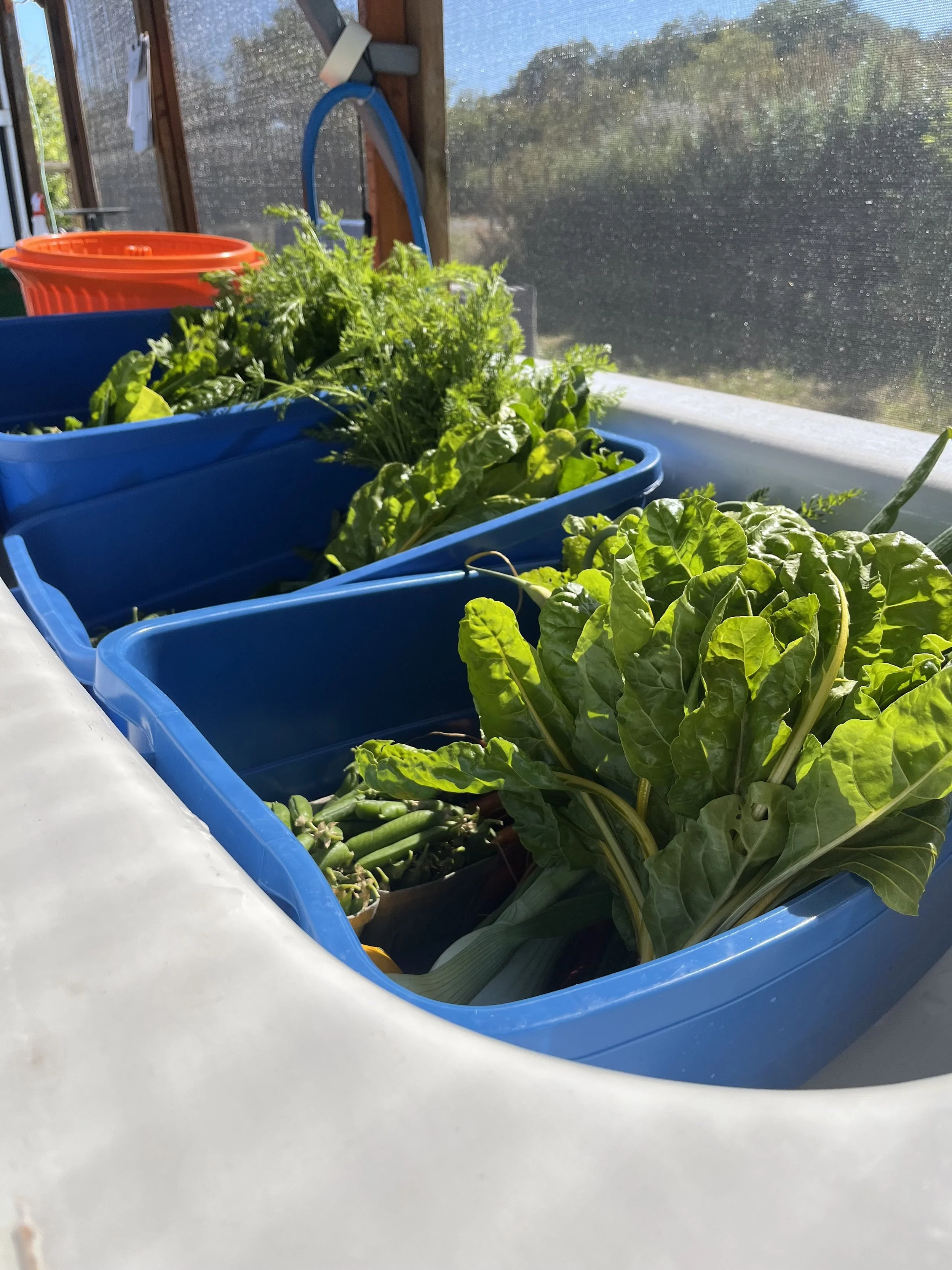 New Member? Don't forget your Seasonal Tote Deposit!