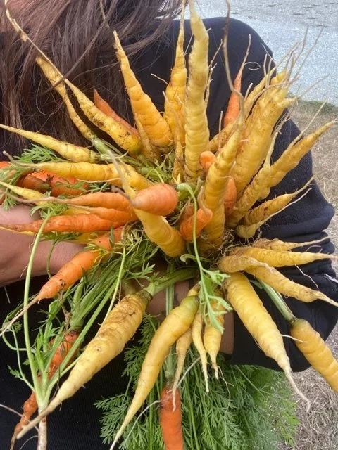 IMG_2289 2.jpg (Copy)