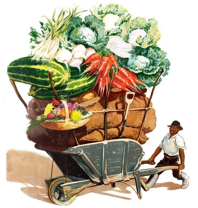 Full Membership Delivery Add-on: 20 deliveries less than 10kms