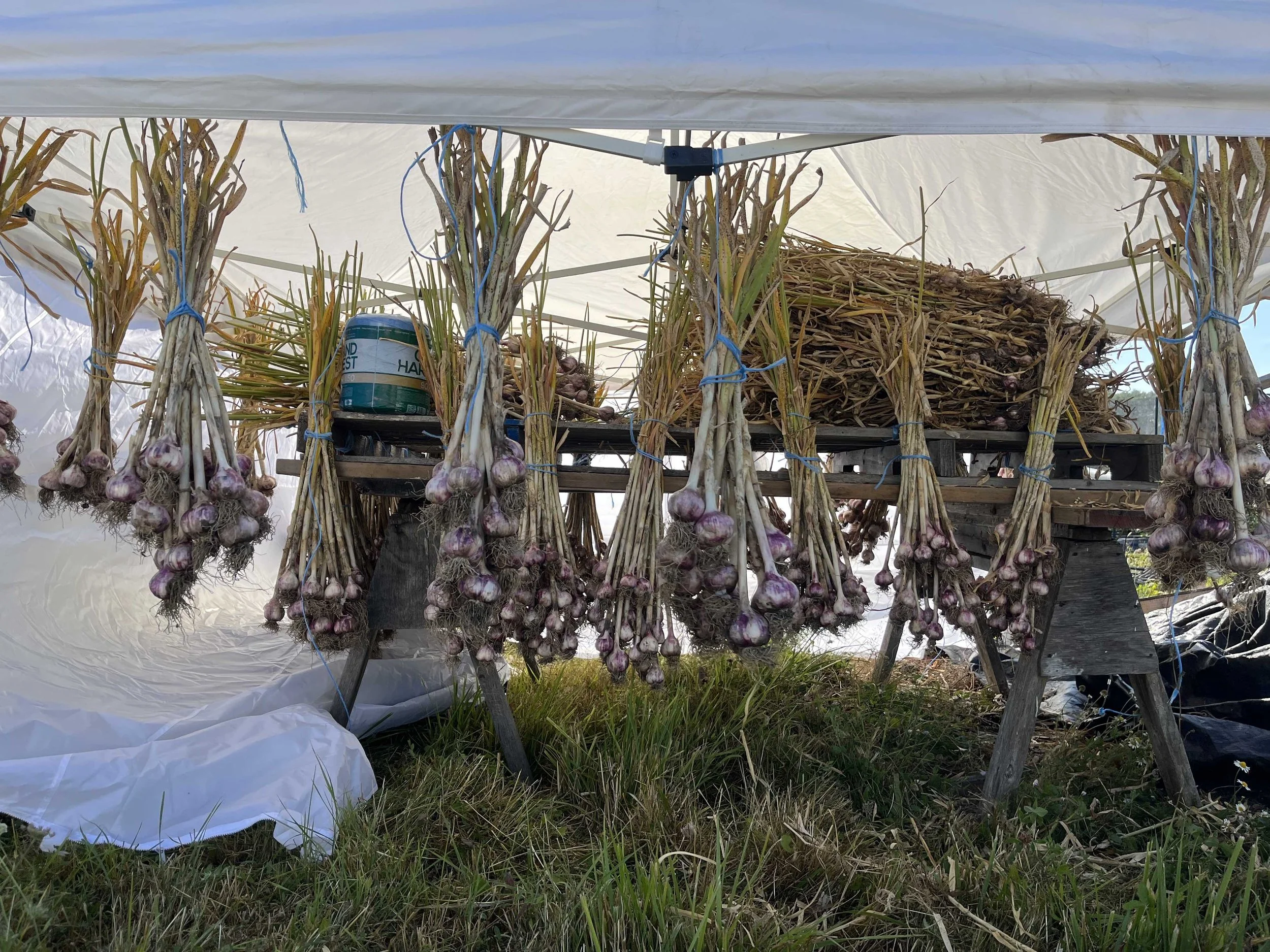 GROW to Order - Wholesale