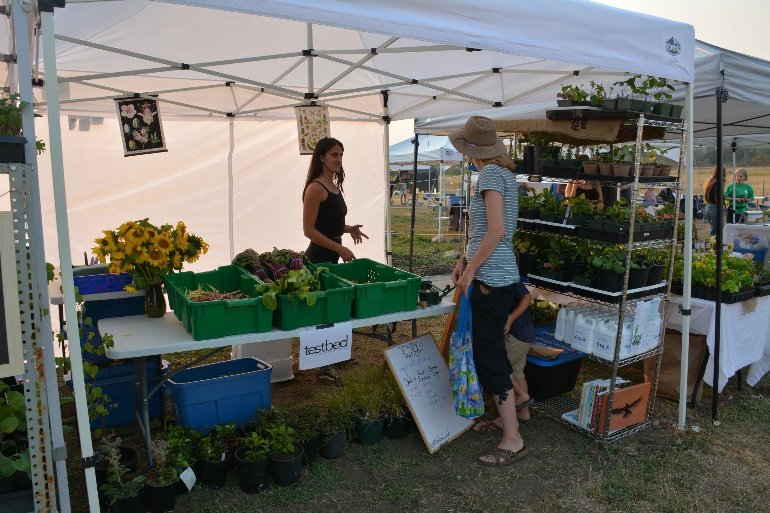 Testbed farm's market stall with fresh vegetables and plants being sold two women and a child, one in a striped shirt and wide-brimmed hat, and the other behind the stall, engaging with a customer and child.