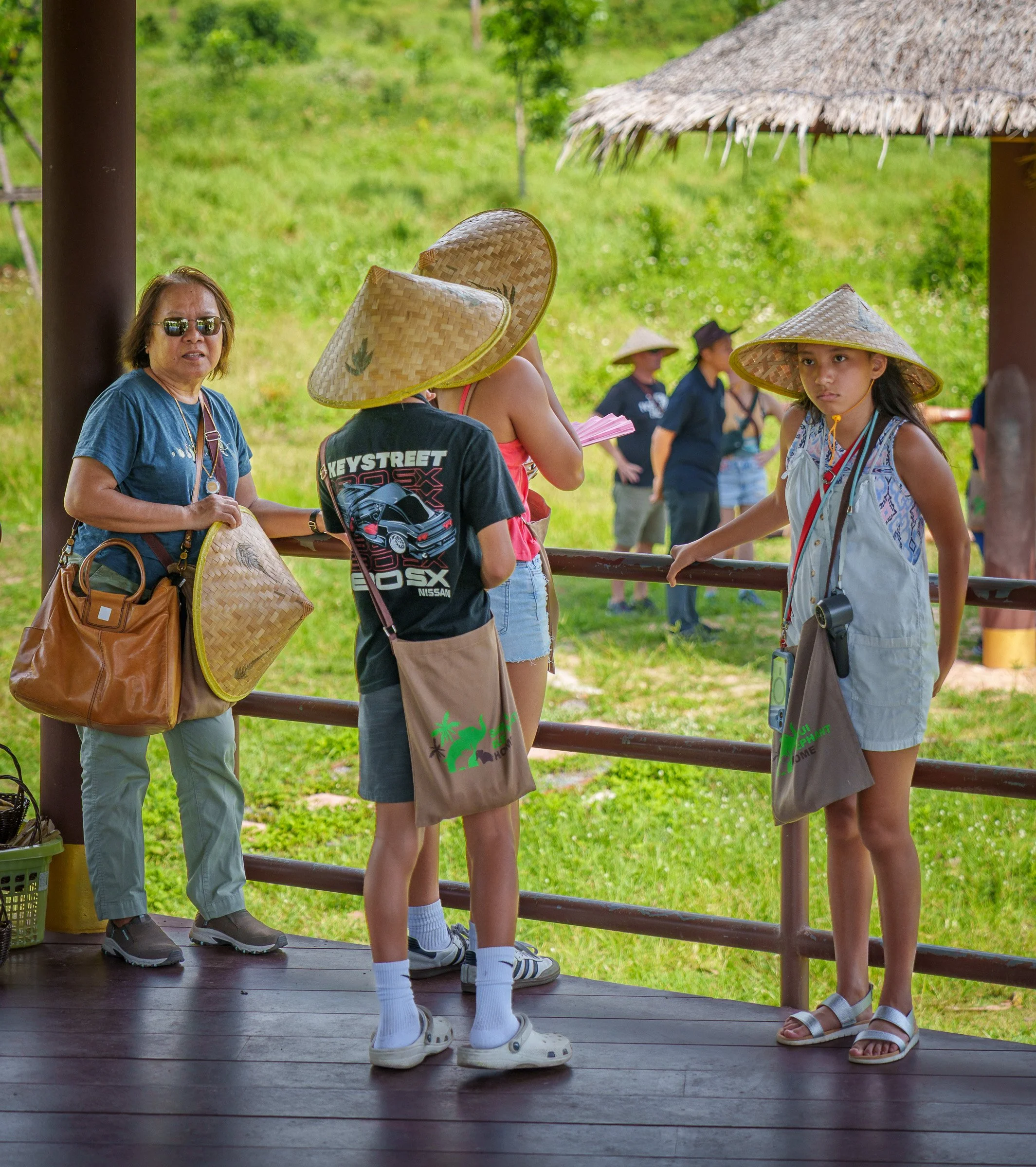 A7408800.jpg