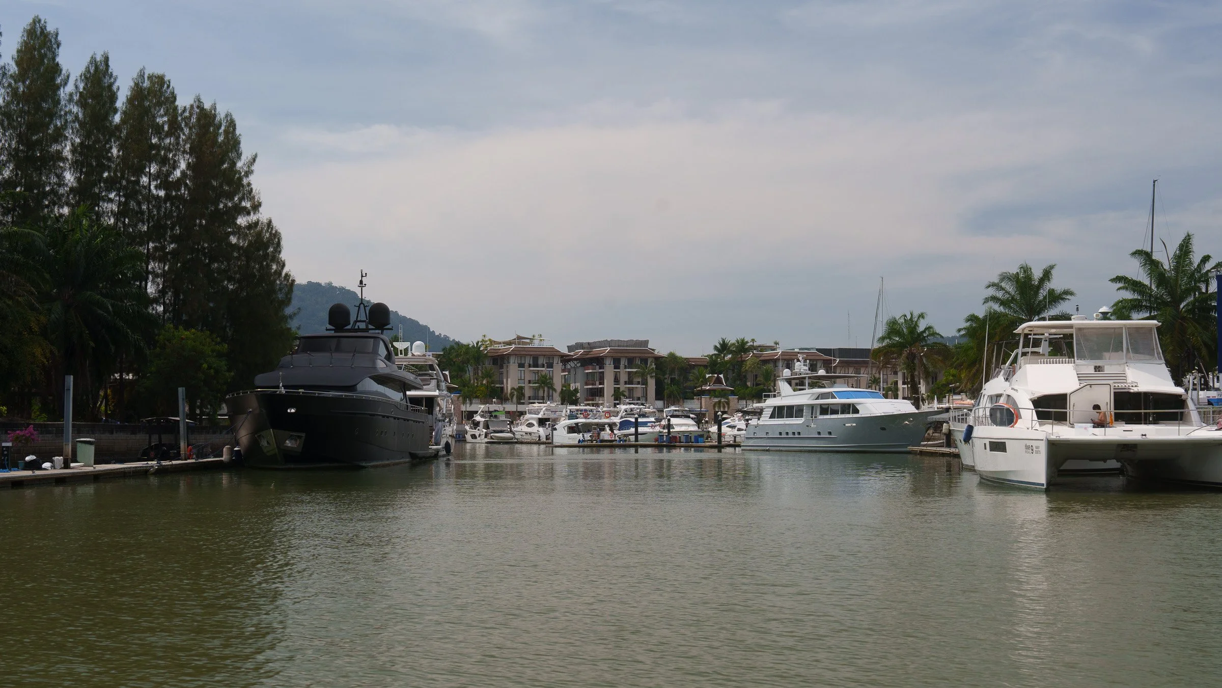 A7409121.jpg