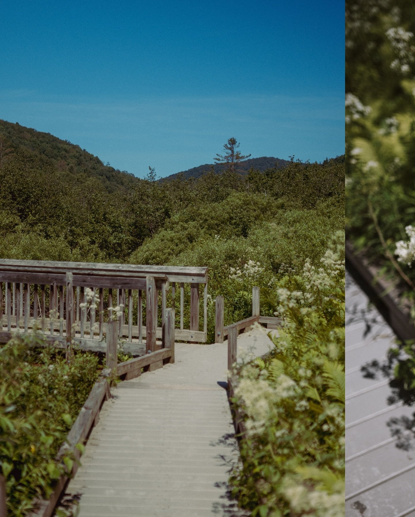 Side quest snags before a wedding 📸, I need more nature photography in my life. Give me some spots in comments or DM to keep em hidden ha! 

#vermont #photography #waterfalls #naturephotography #summer