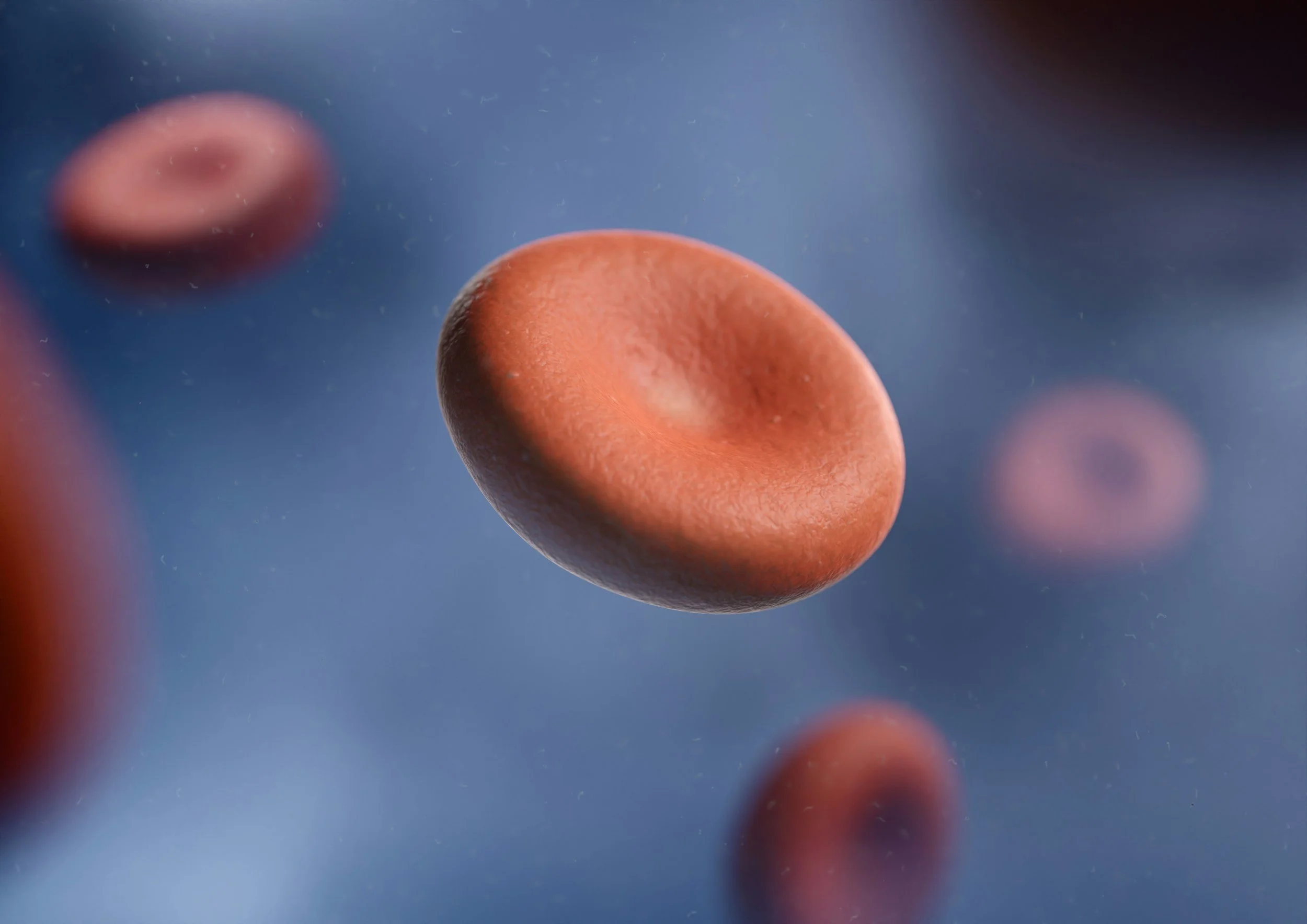 Close-up of red blood cells floating in plasma.