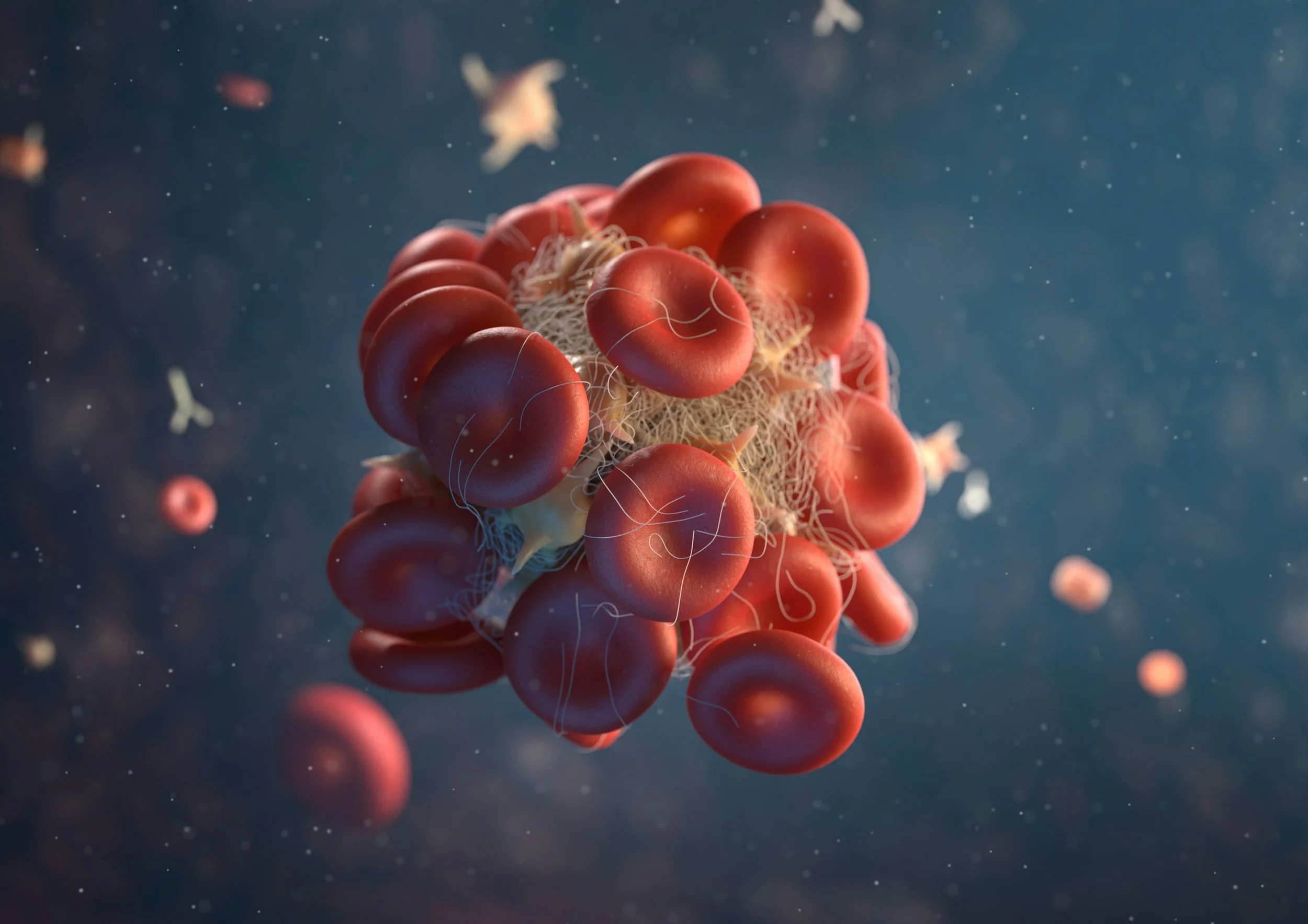 A cluster of blood cells floating in a dark, watery environment, with some smaller particles and cells in the background.