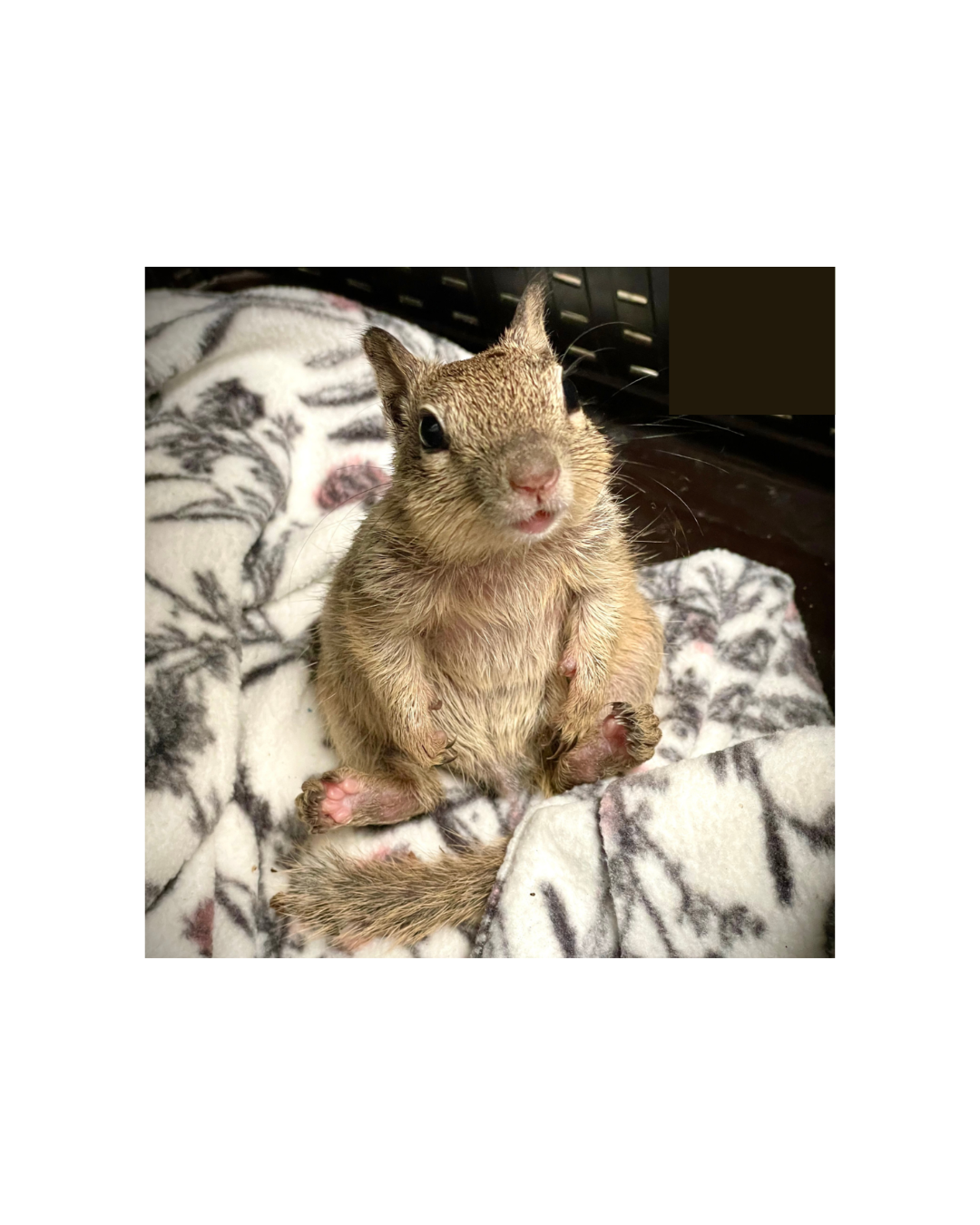 Life and Aluminium Phosphide