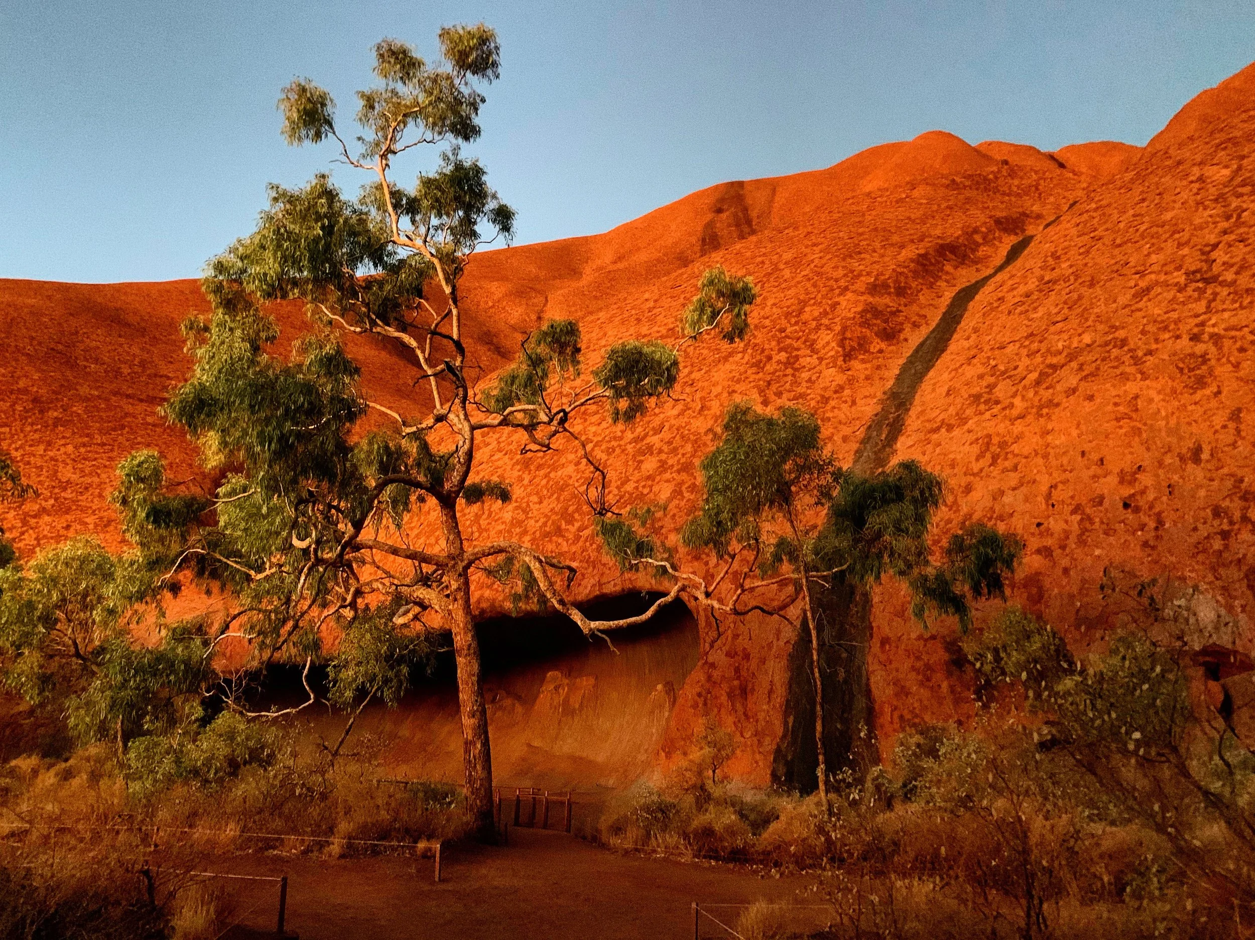 A desert landscape with red rocky hills and green trees in front, under a blue sky.