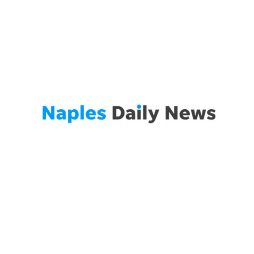 Untitled design (15).png