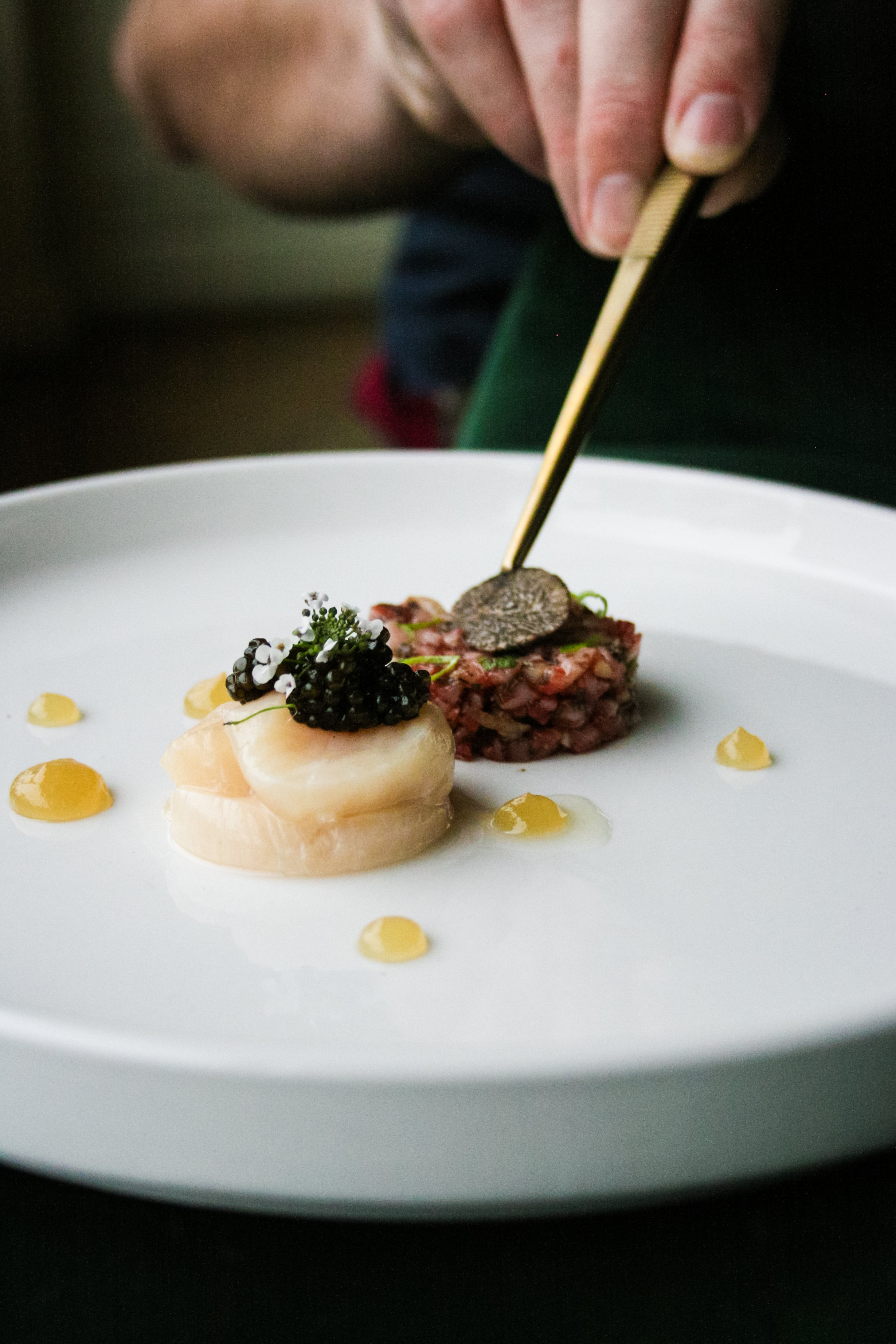 Chef using tweezers to garnish a plated dish with black truffle, consisting of scallops, caviar, and dots of sauce.