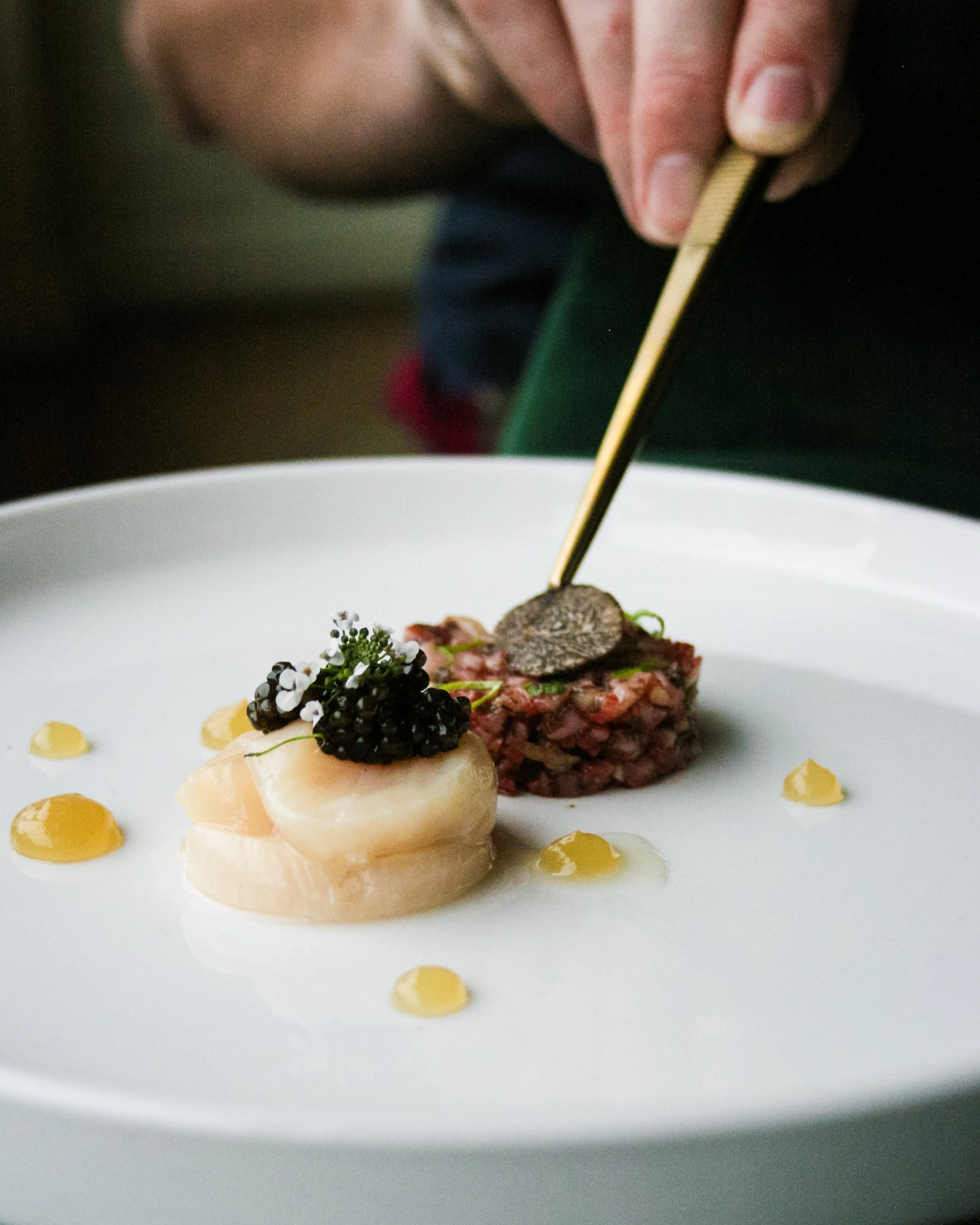 Chef using tweezers to garnish a plated dish with black truffle, consisting of scallops, caviar, and dots of sauce.
