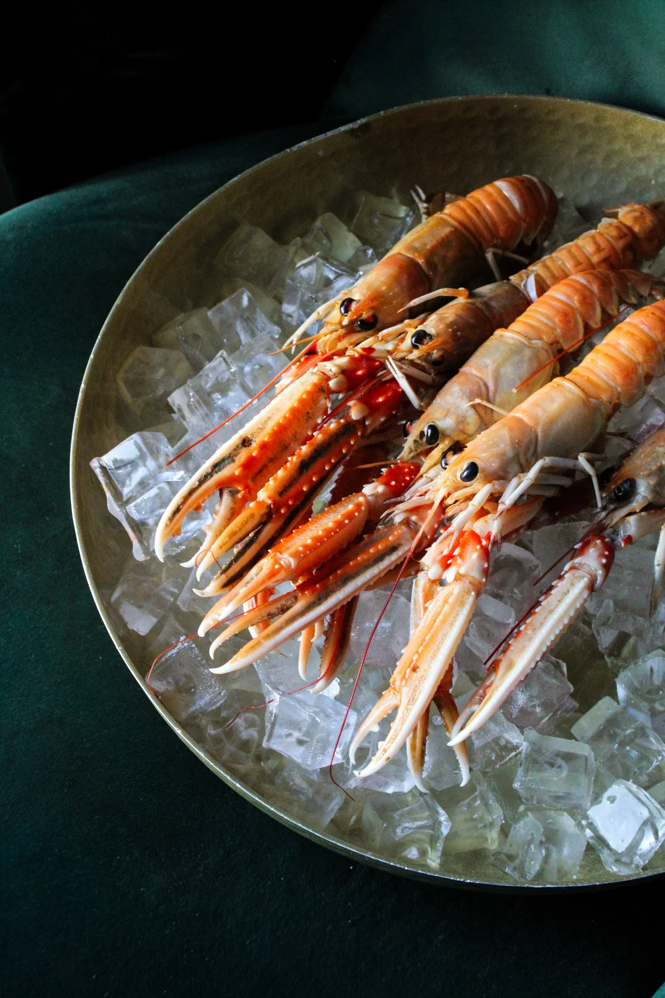Fresh langoustines on ice in a metal bowl.