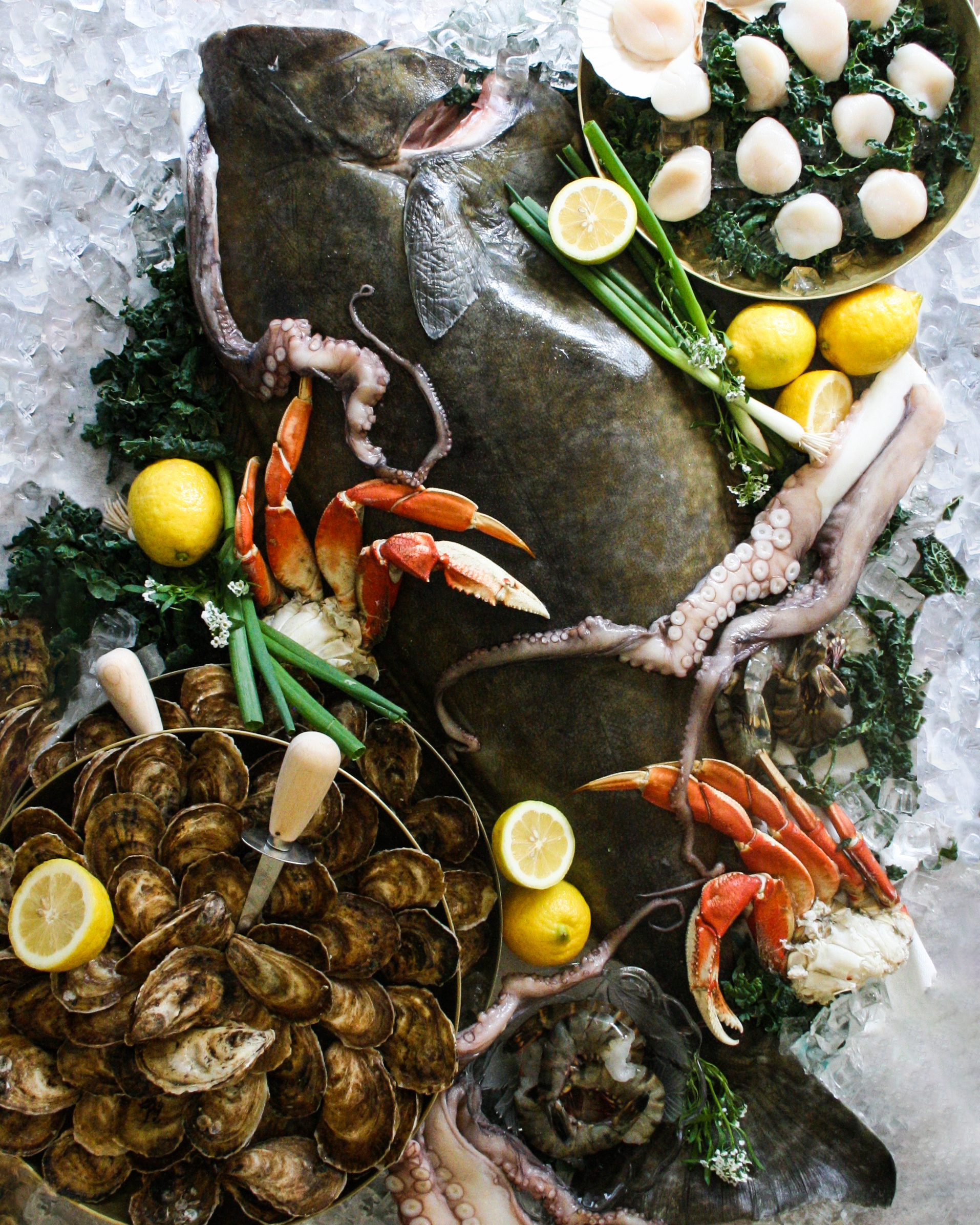 Fresh seafood assortment featuring a large halibut, oysters, crab, lobster, shrimp, and squid, garnished with lemon and green herbs on ice.