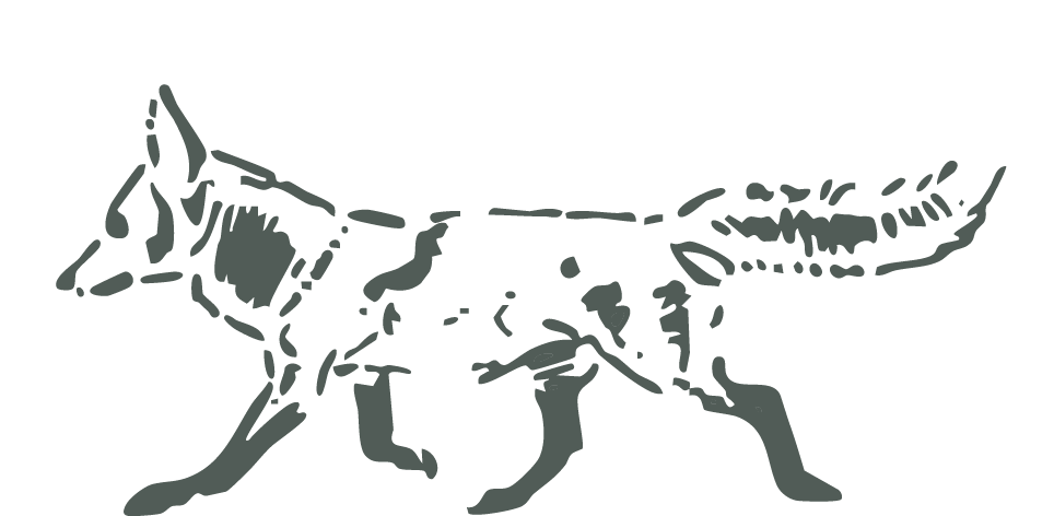 The Victoria's Fox Logo: a vintage etching of a walking fox with a long, bushy tail.