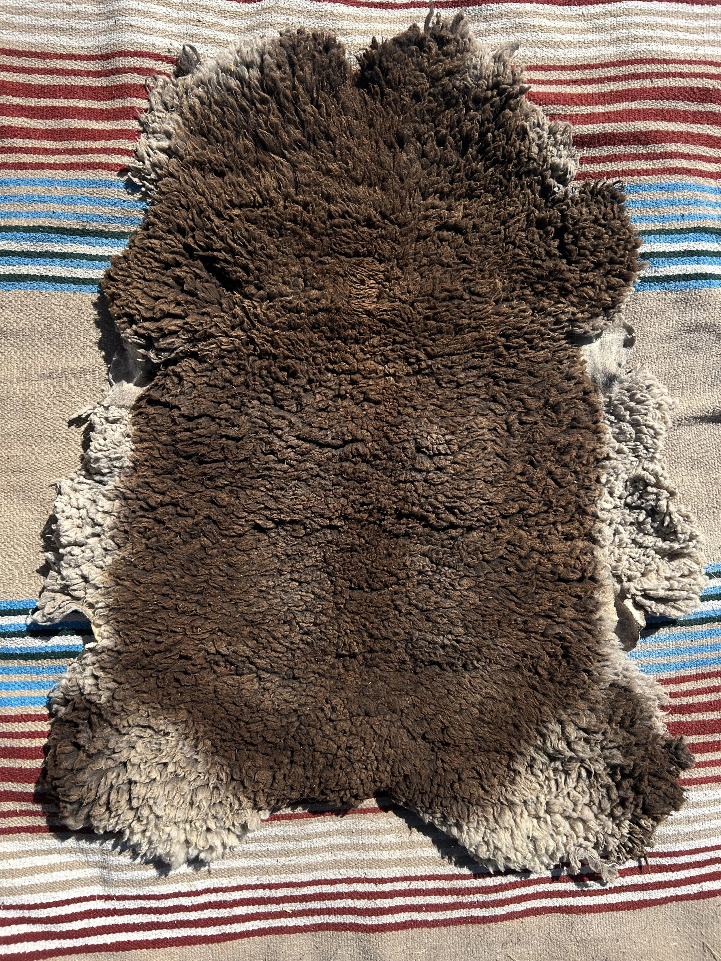 french merino sheep skin: sister