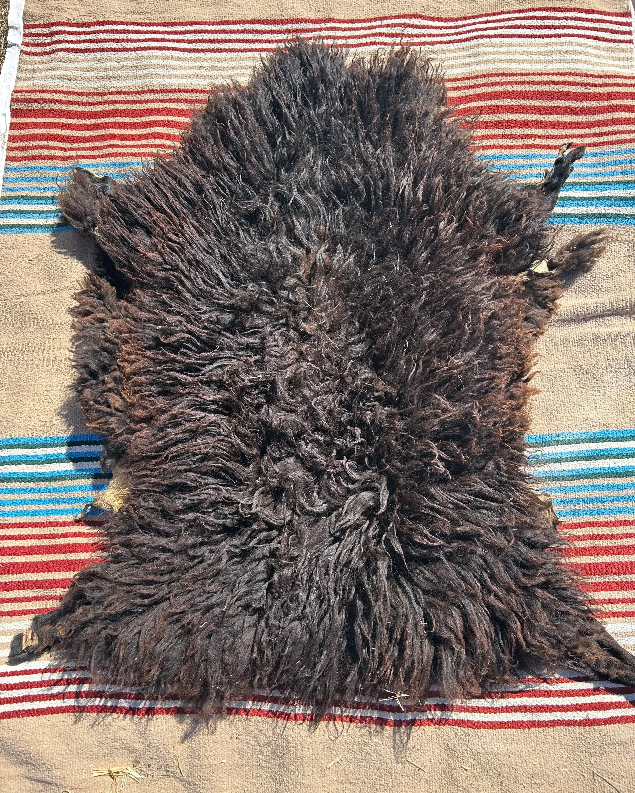 navajo churro sheep skin: fiona