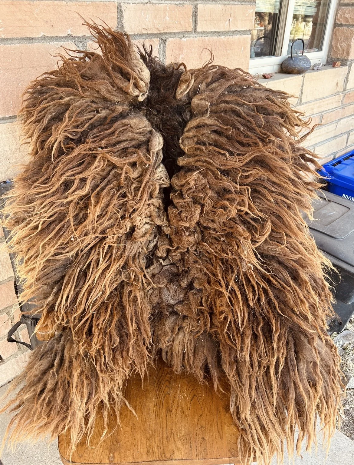 navajo churro sheep skin: PRE-ORDER