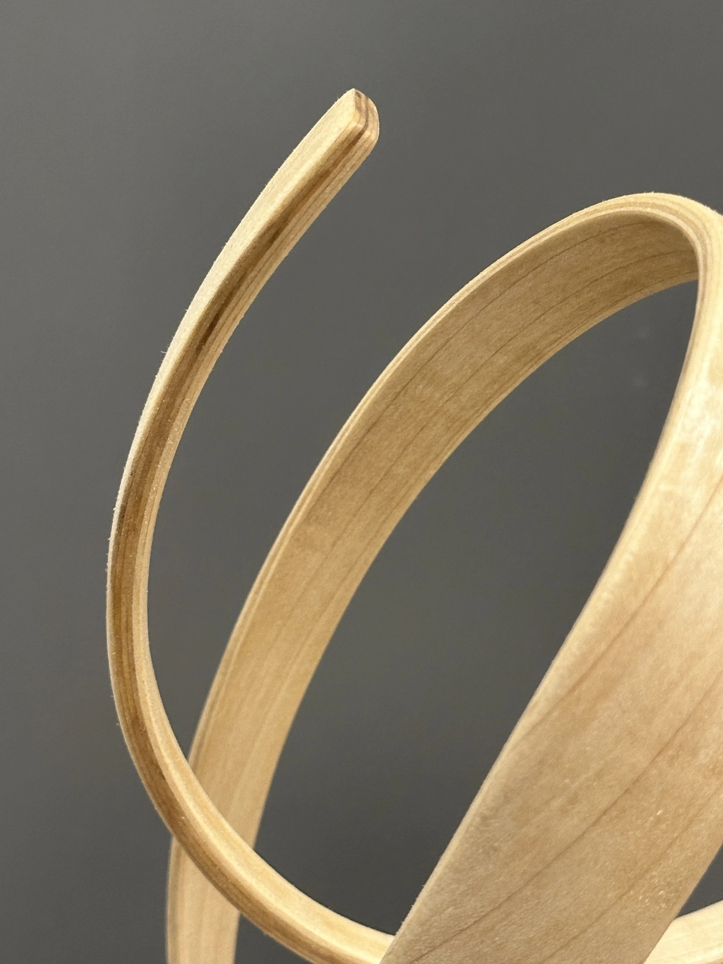 Woodbending sculpture