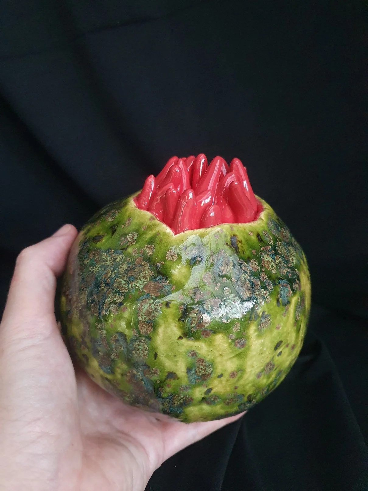 Anemone Series Green and Red small-medium size