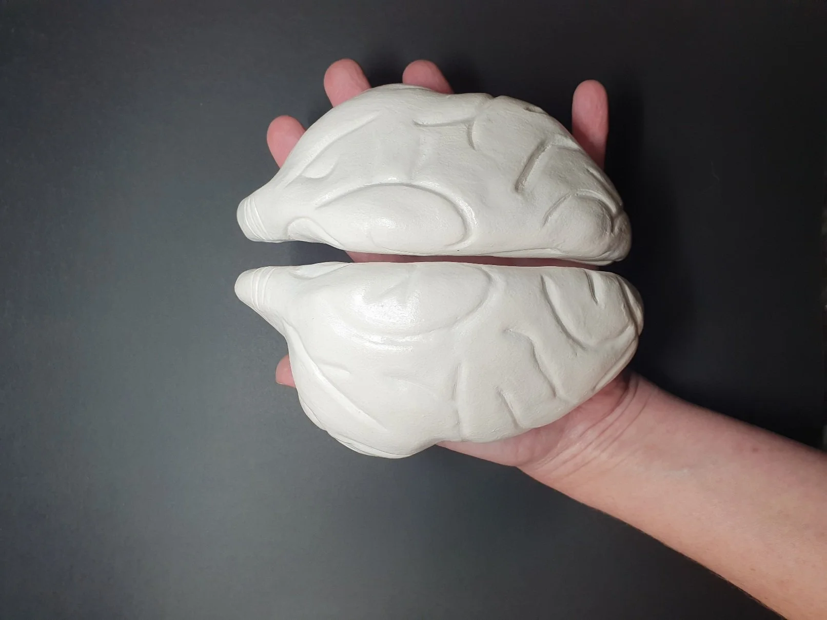 Brain Creatures - napping