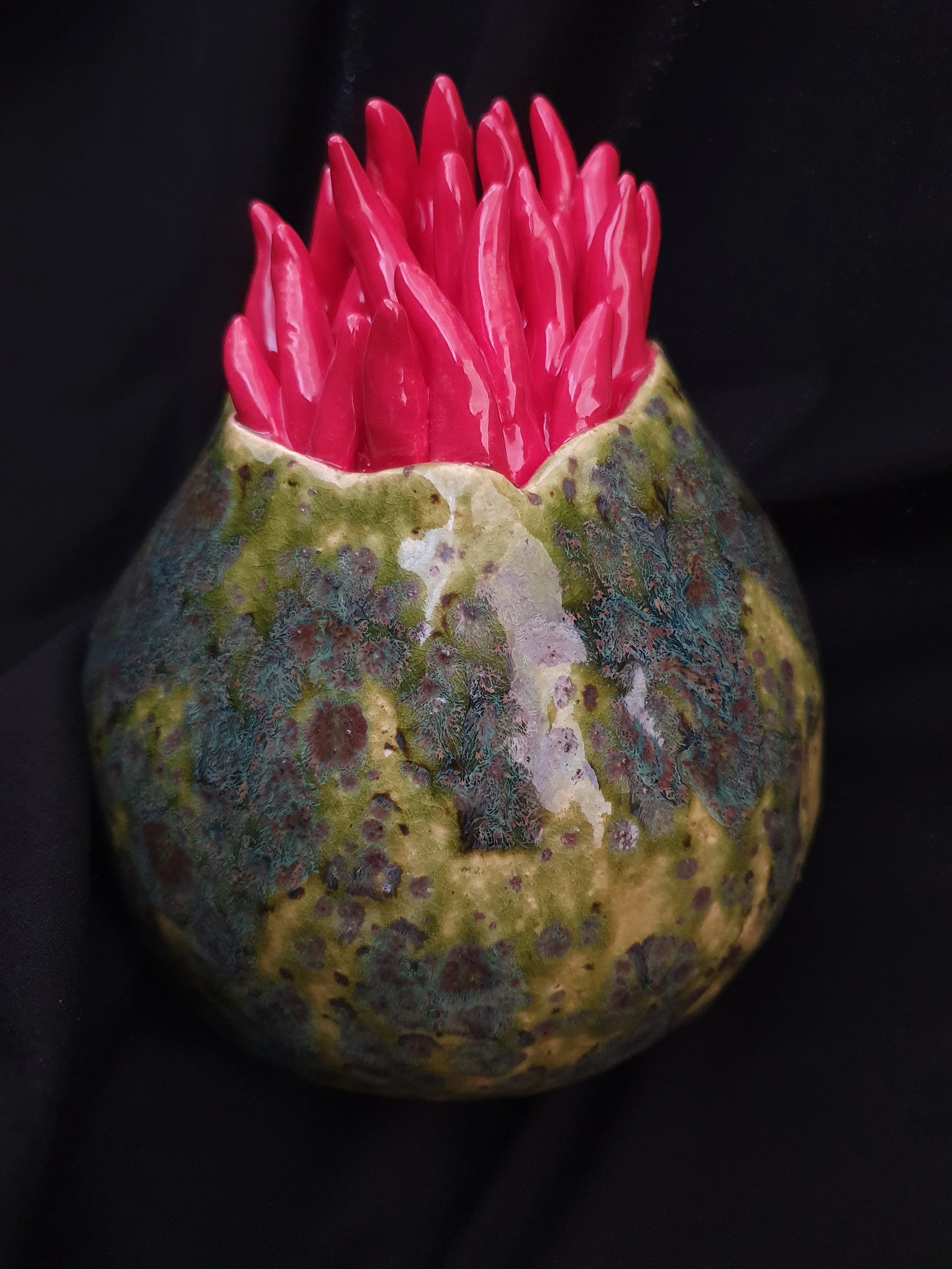 A cactus with a colorful, textured surface and bright red, elongated flowers partially emerging from the top, set against a black background.