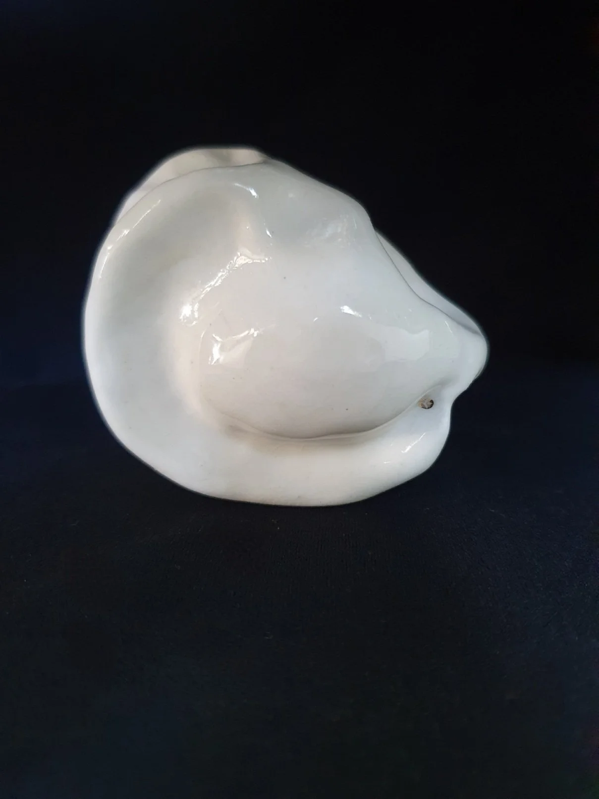 'Embryo' Series (no.6)