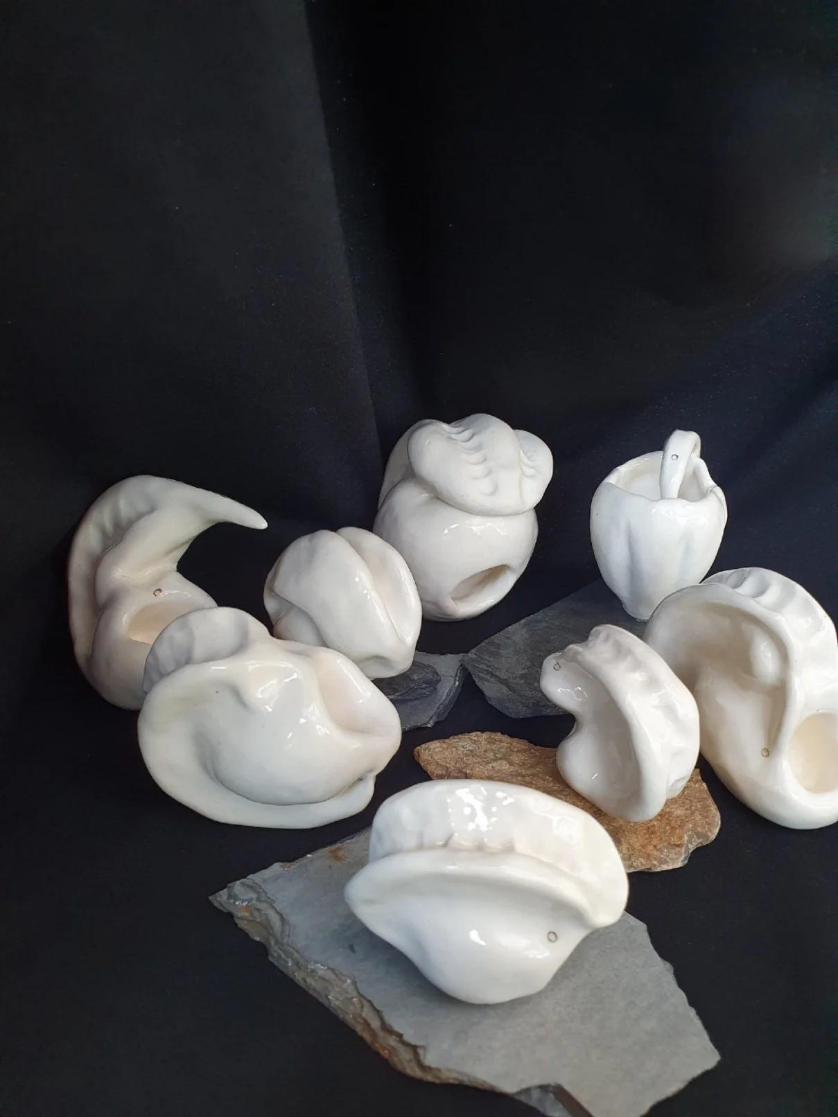 Complete 'Embryo' Series (7 pieces plus bonus piece)