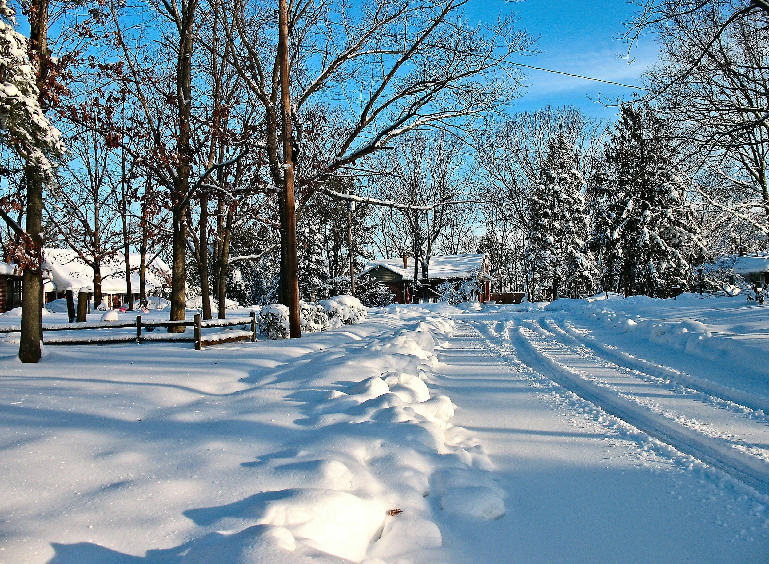 Snow-covered residential neighborhood street with trees, snow-covered houses, and tire tracks on the snow