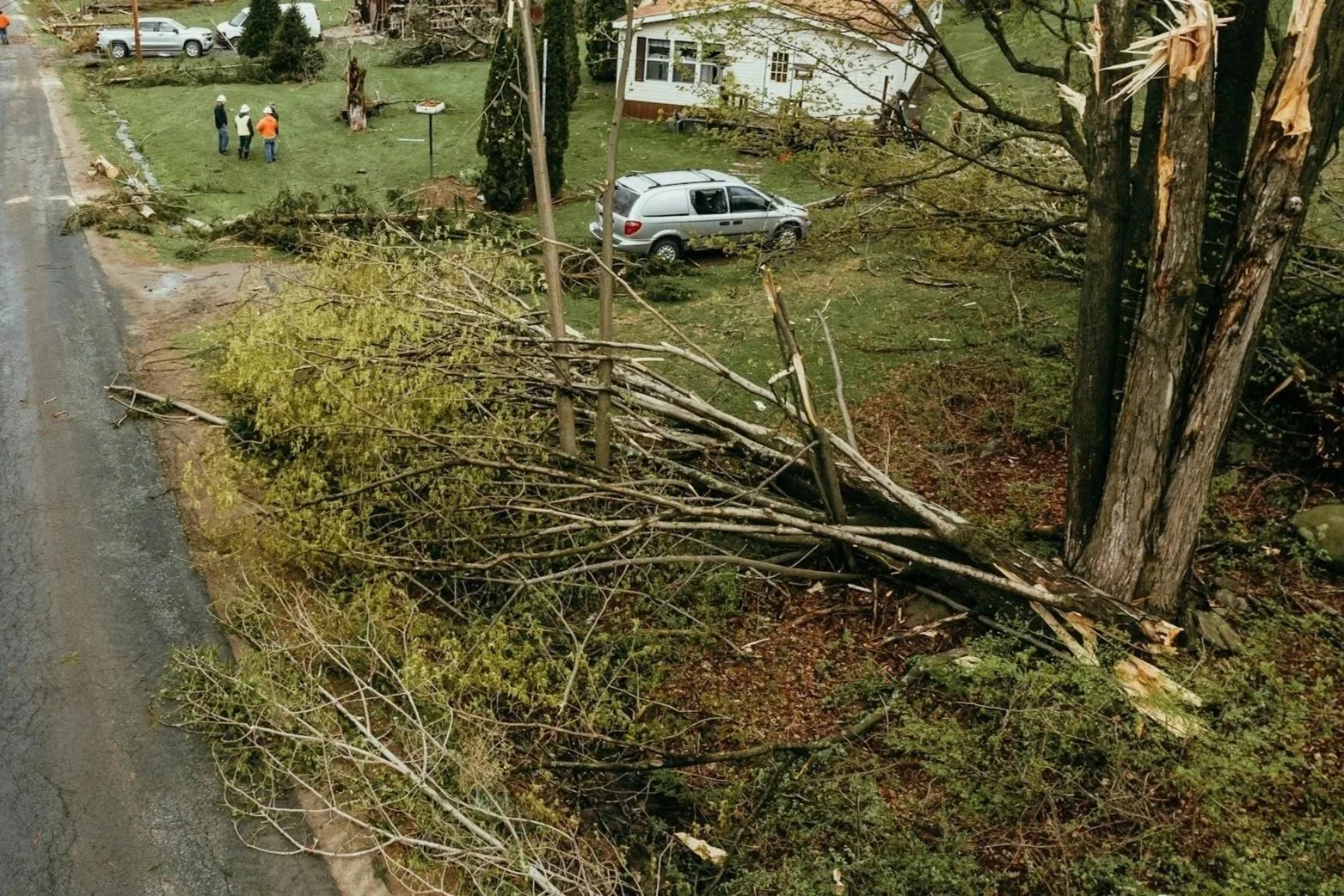 Storm debris, fallen trees