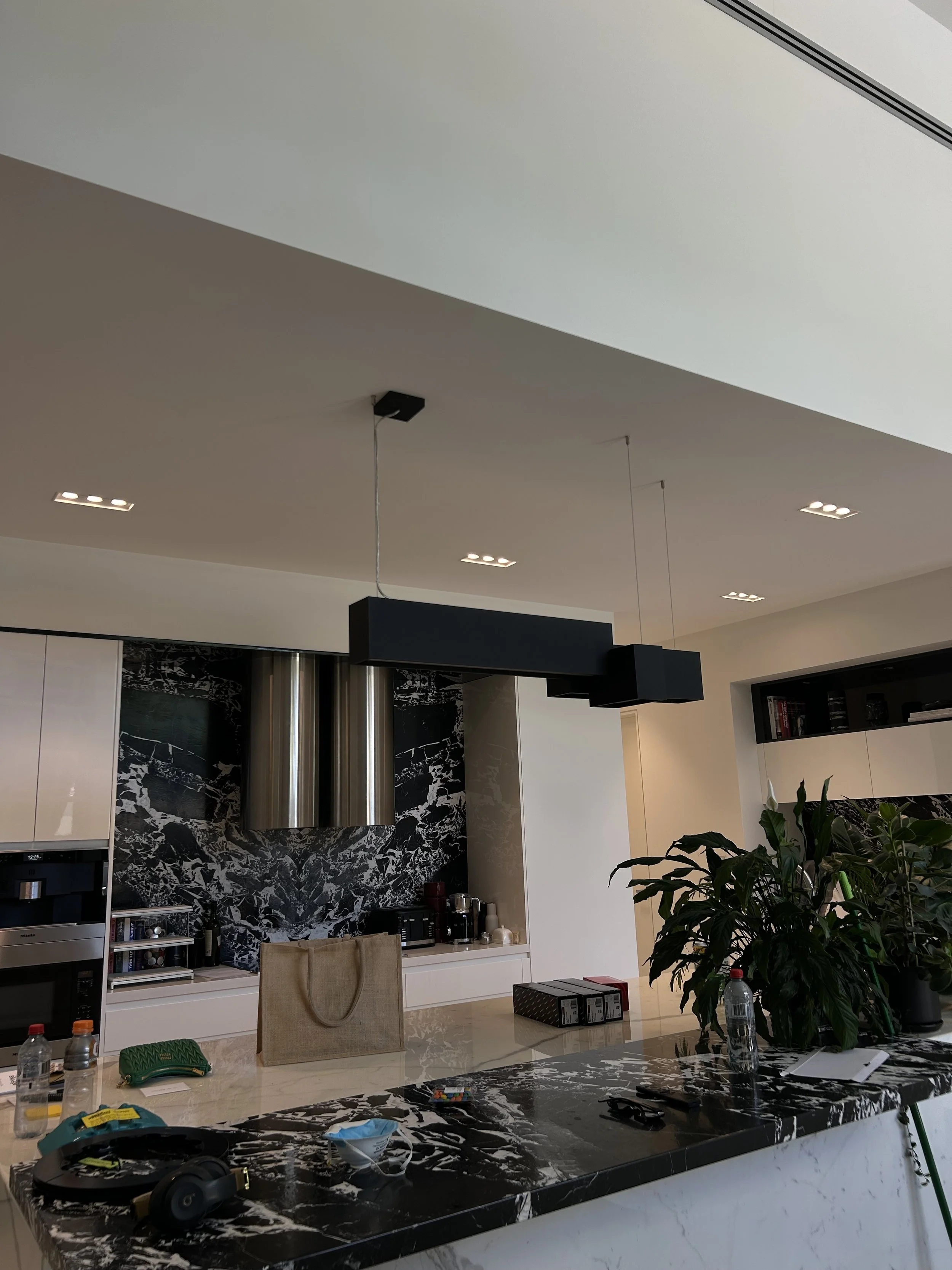 Modern kitchen with black marble island, large plants, and built-in appliances. Ceiling with square recessed lights and black hanging fixtures.