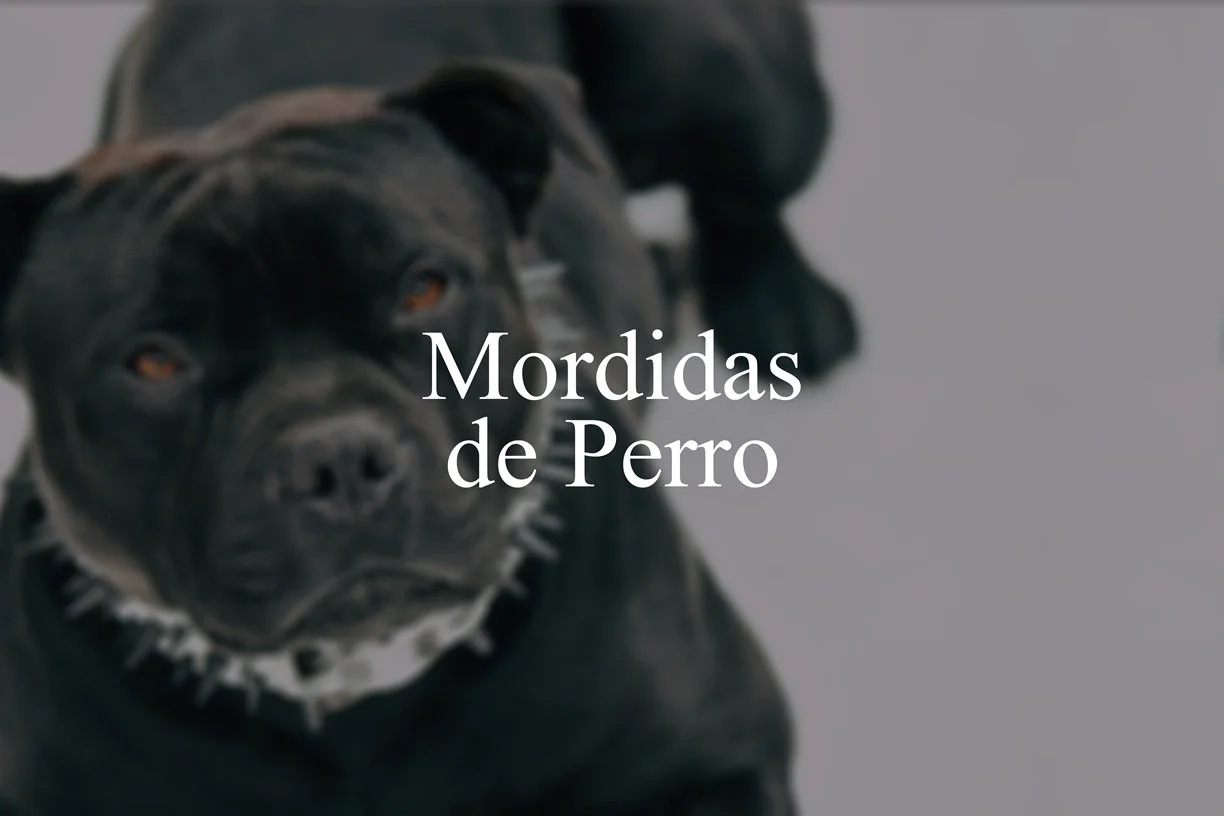 Mordidas de Perro Servicios