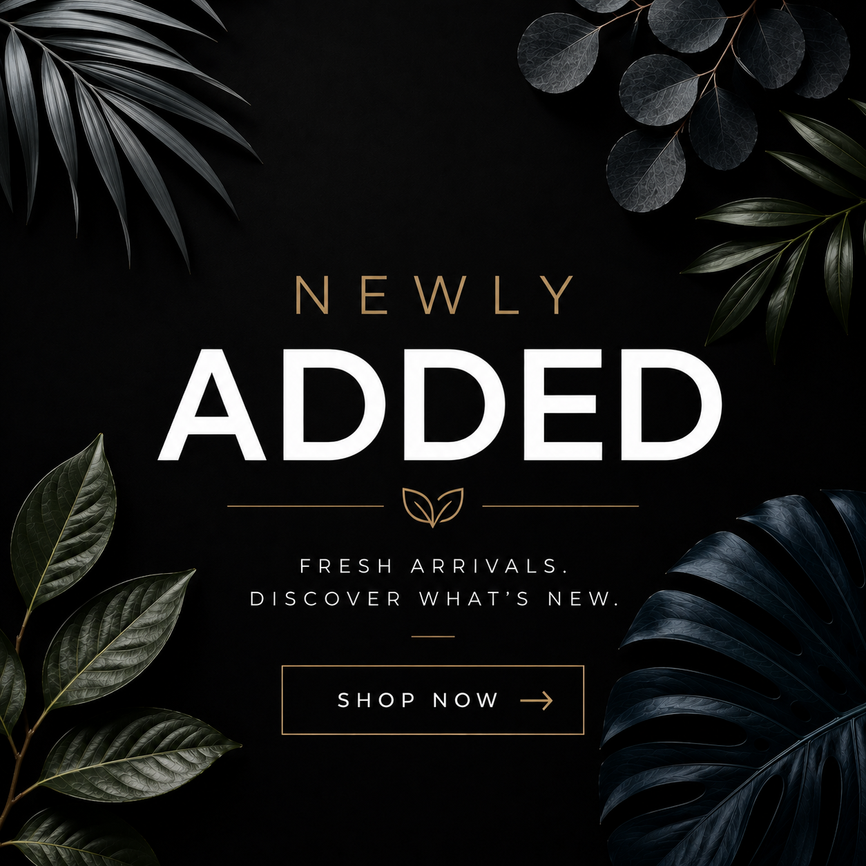 newly added.png