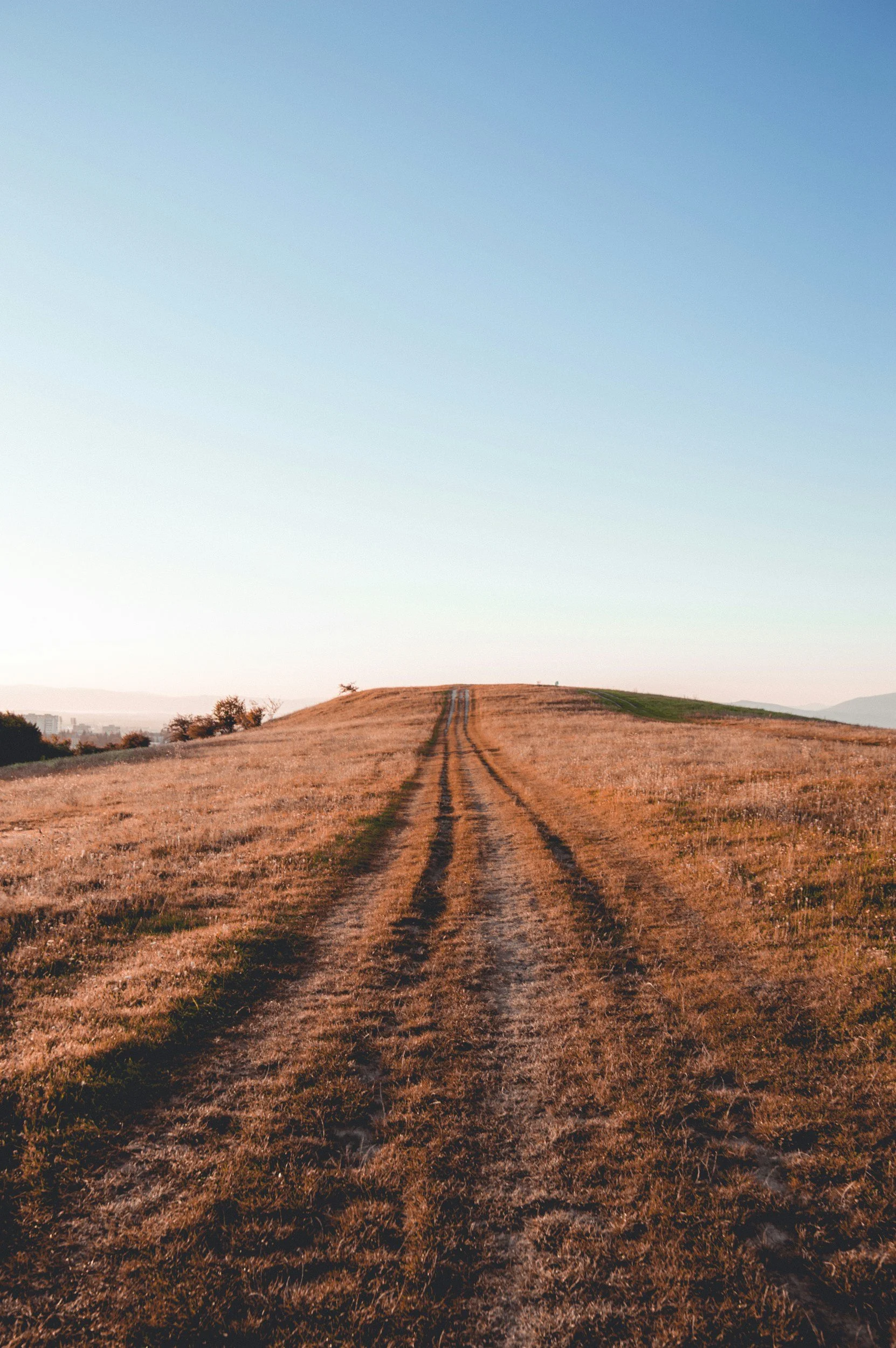 A dirt trail running through a grassy hilltop with a clear blue sky overhead.
