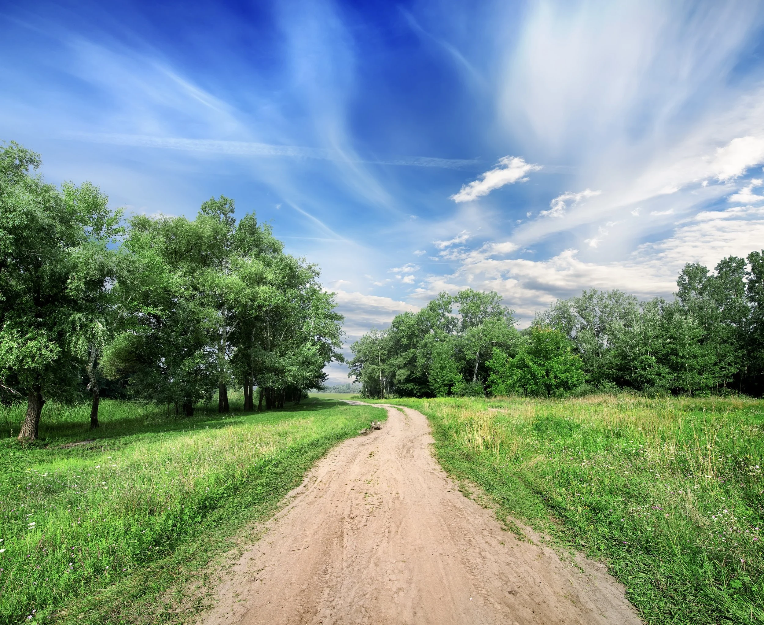 A dirt path winding through a lush, green field with trees on the left side and a blue sky with wispy clouds overhead.