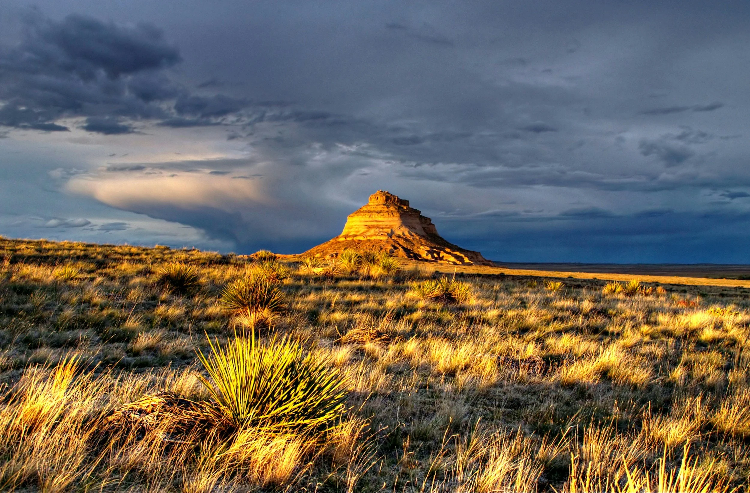 Photo of Colorado Prairie with golden grasses, tan butte, and dark, cloudy skies.