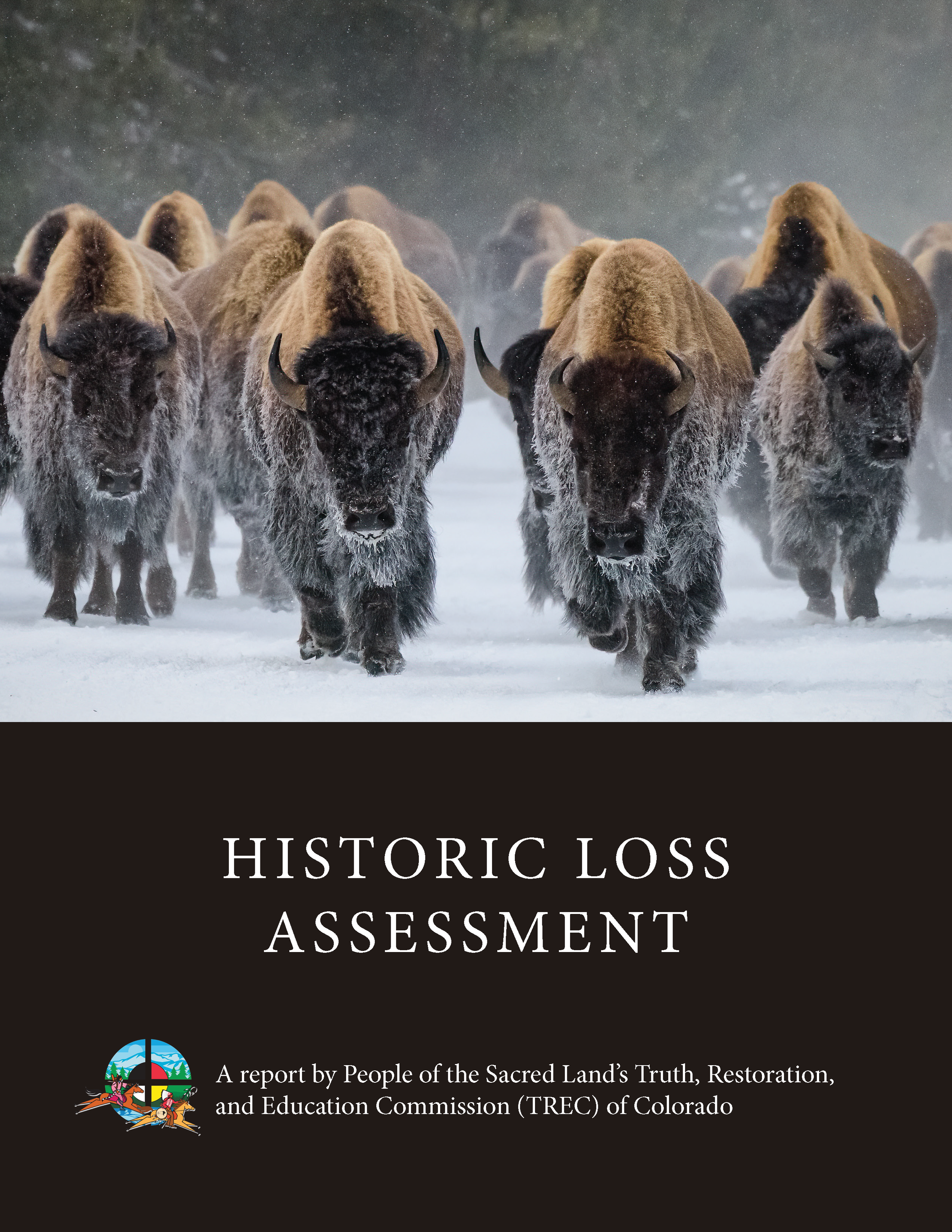 Cover of ‘Historic Loss Assessment’ report showing bison walking on snow.