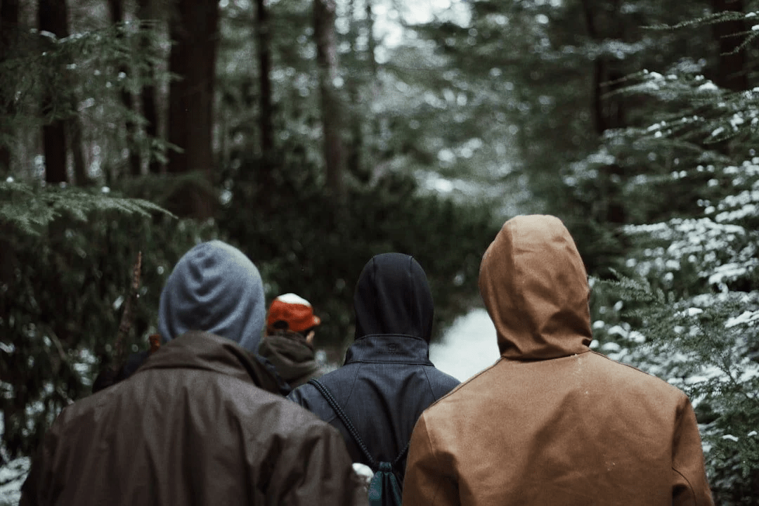 Four people walking through a snowy forest in hooded jackets.