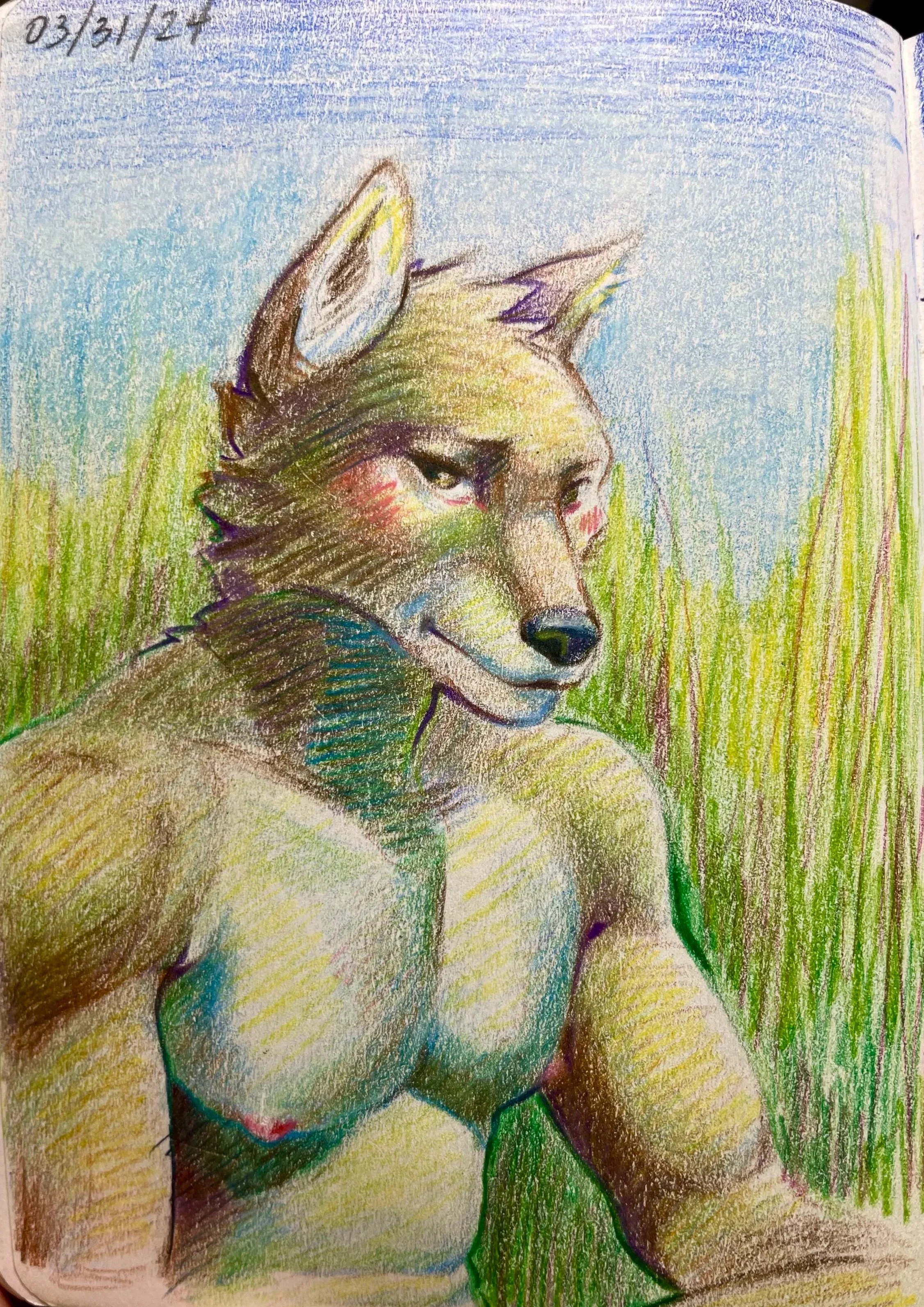 "Wolf Selphie I" 2024, colored pencil on paper, 4"x6"