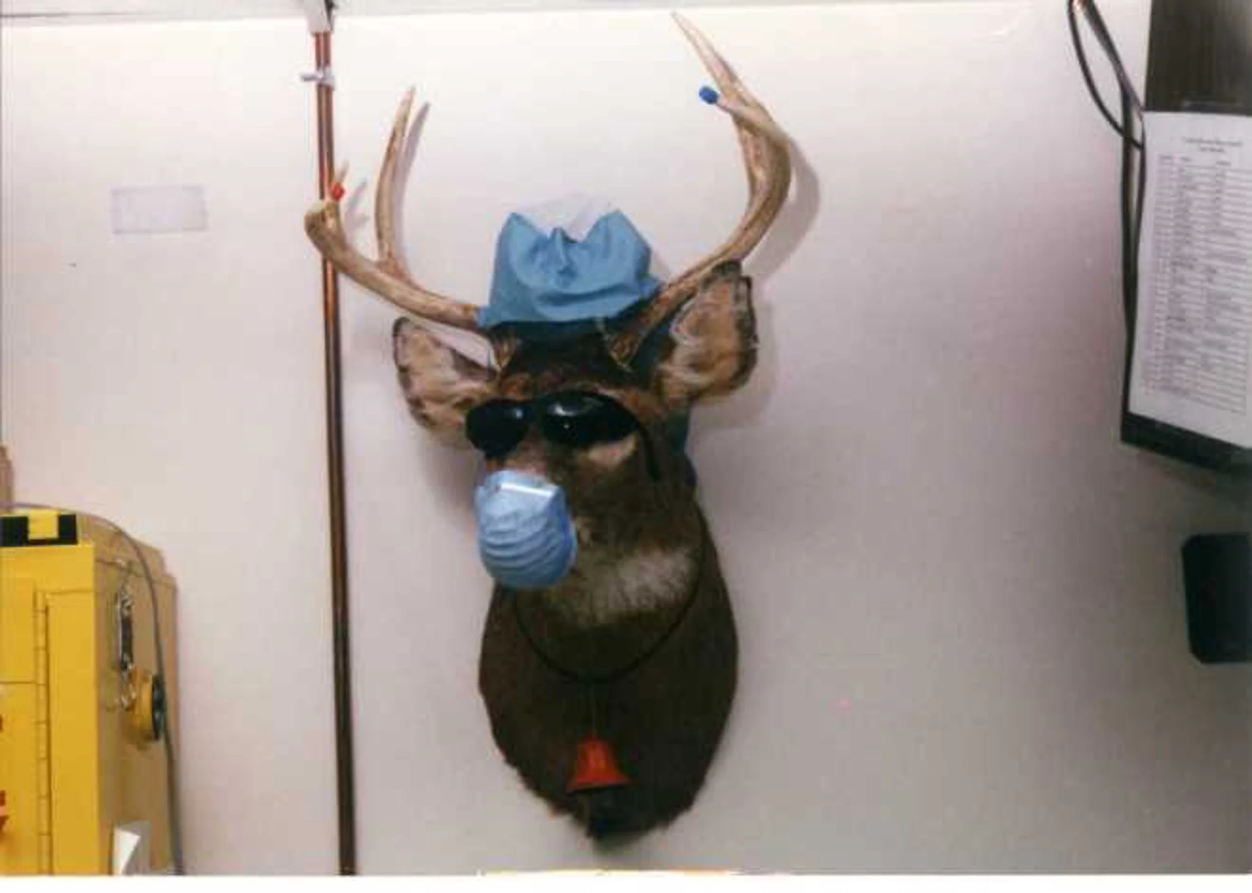 A mounted deer head with horns, wearing glasses and a blue face mask, with a blue cloth on top of its horns, in a room with a yellow safety box on the left and a monitor on the right.