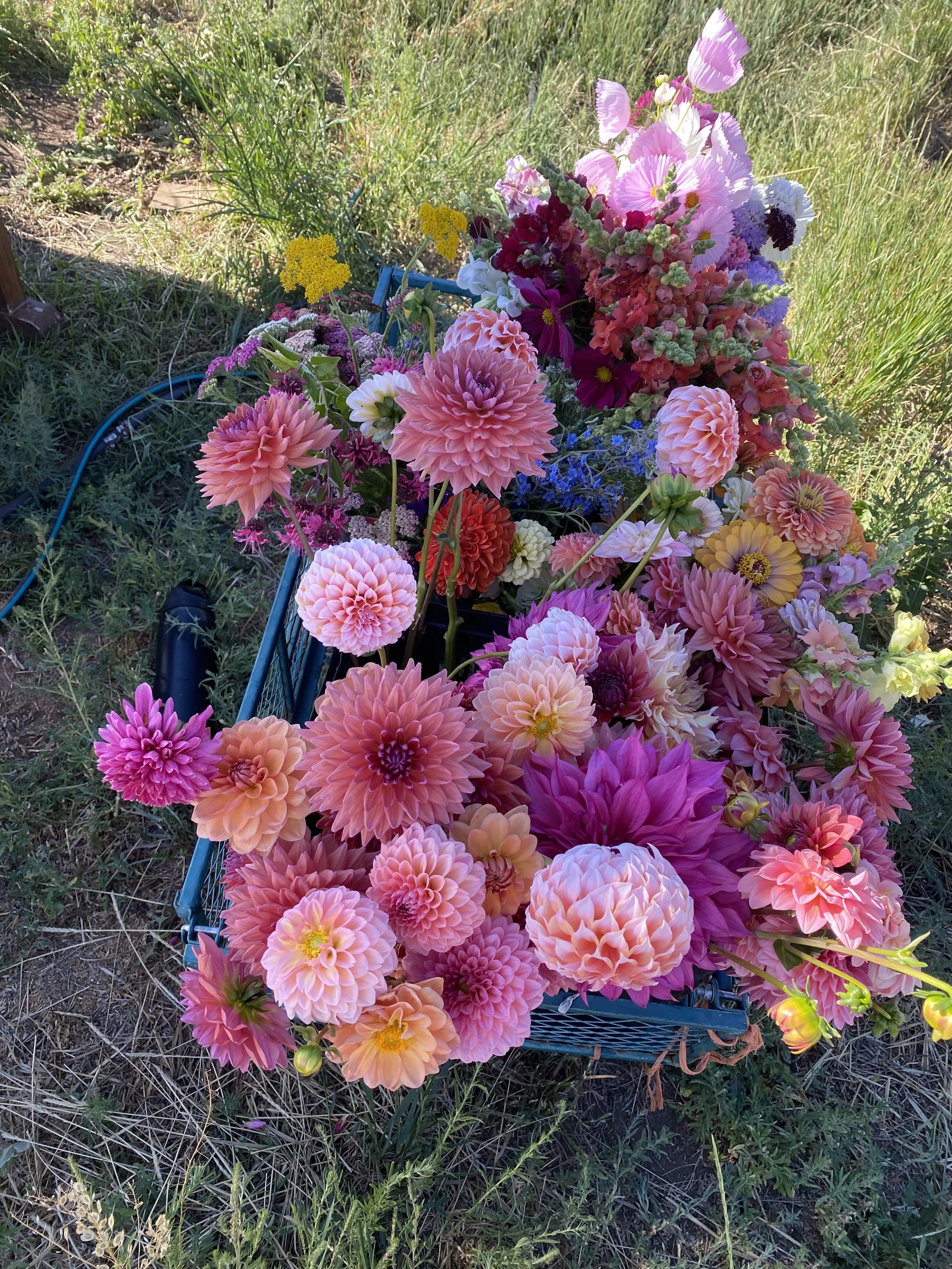 Yoga + Flowers