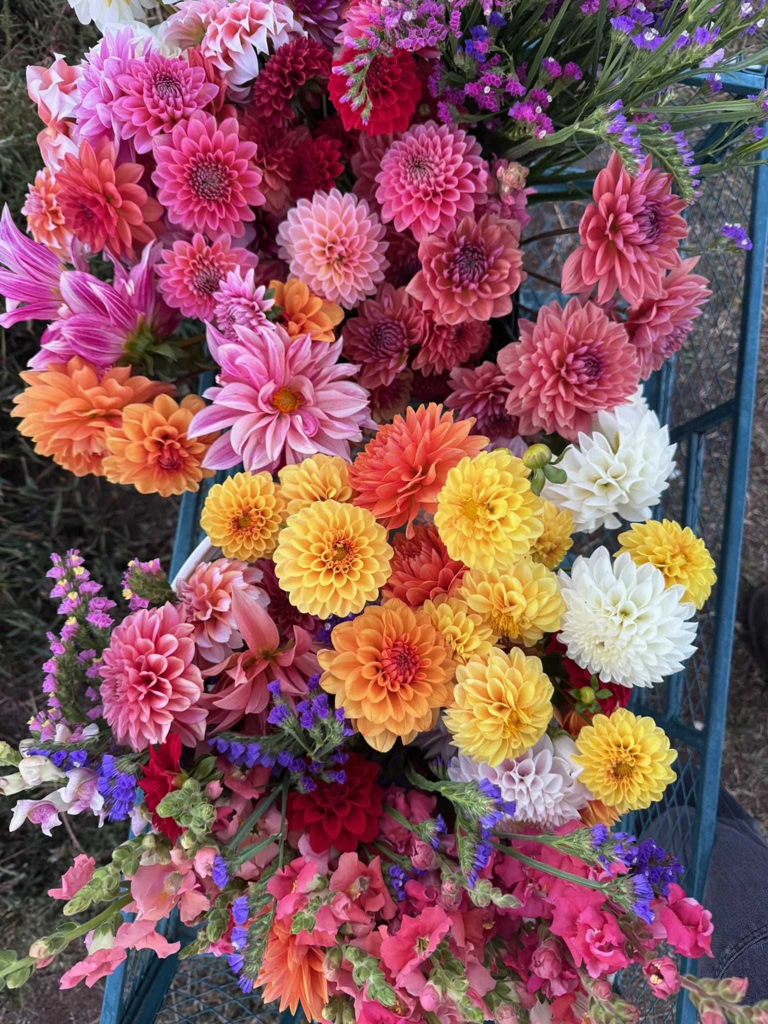 Mosaic Mirrors & U-Pick Blooms