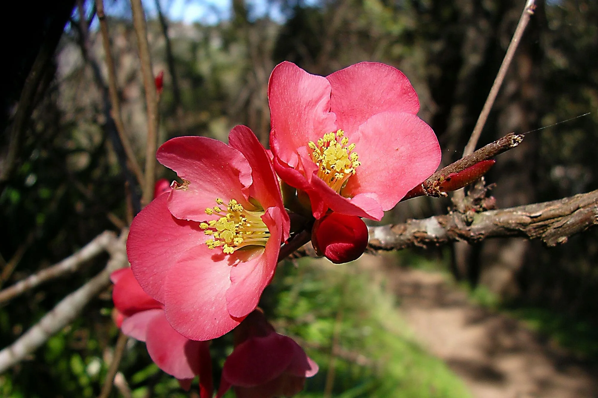 2007-02-19 EW IMG17620-CR4x6-LC-FR-SA+20-USM4-16.jpg