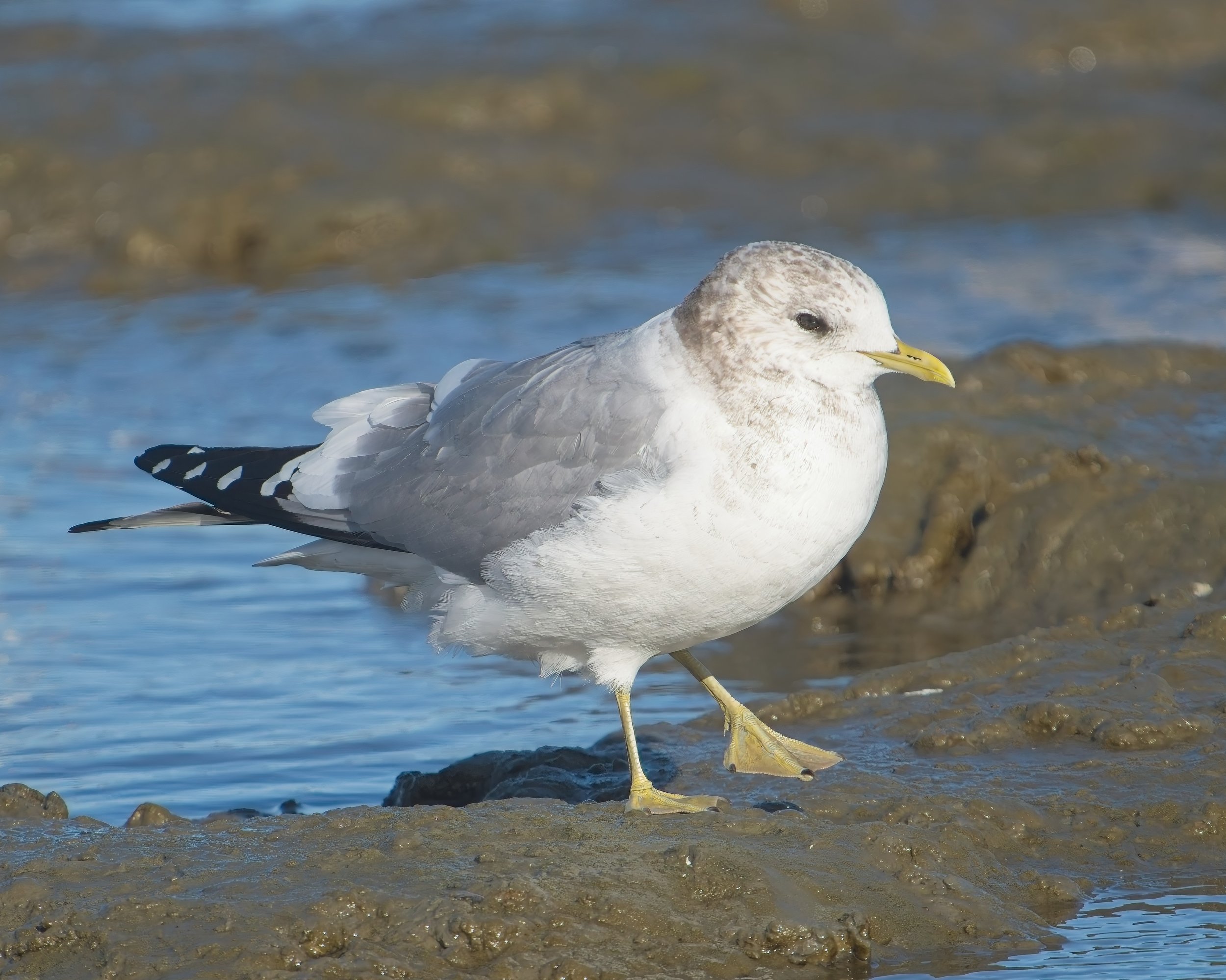 2026-02-21 CY IM149650-E3-E3.jpg